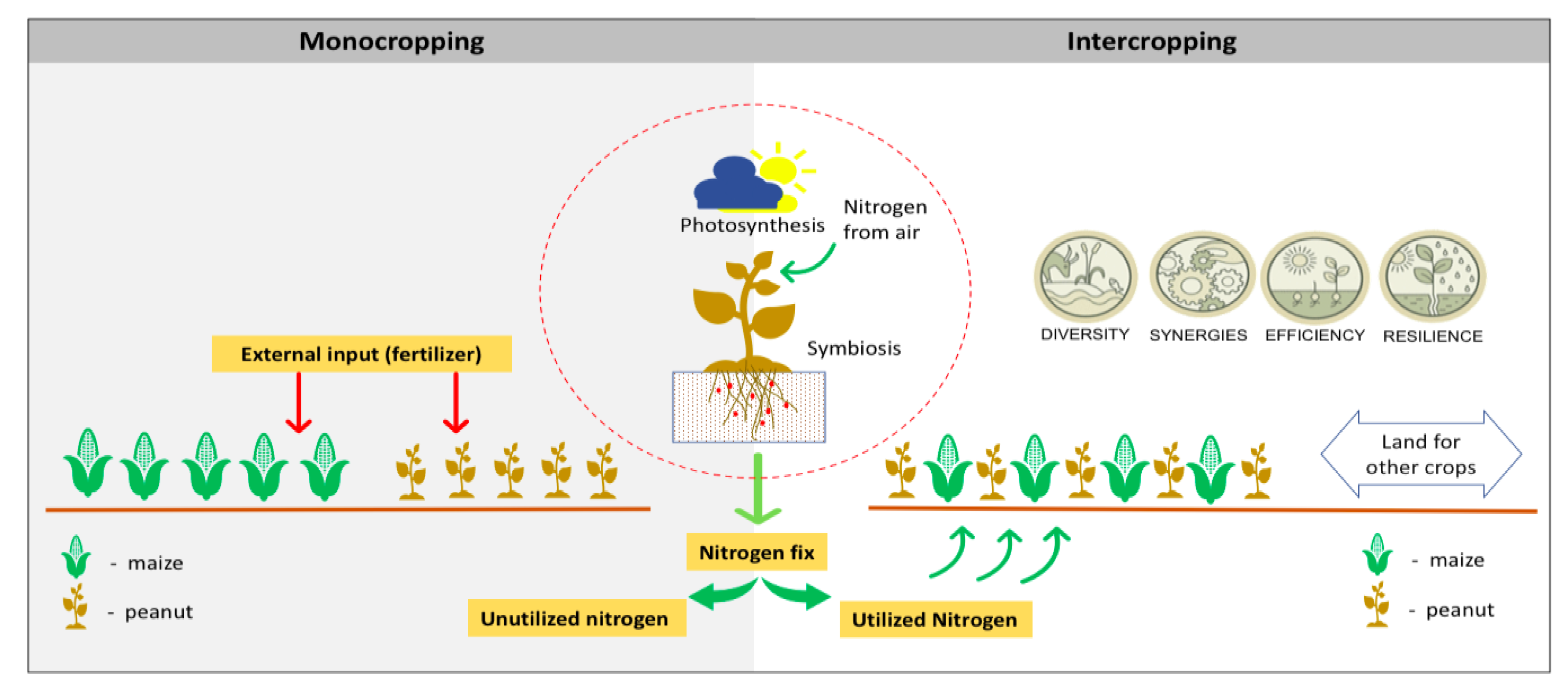 Agriculture 11 00204 g003