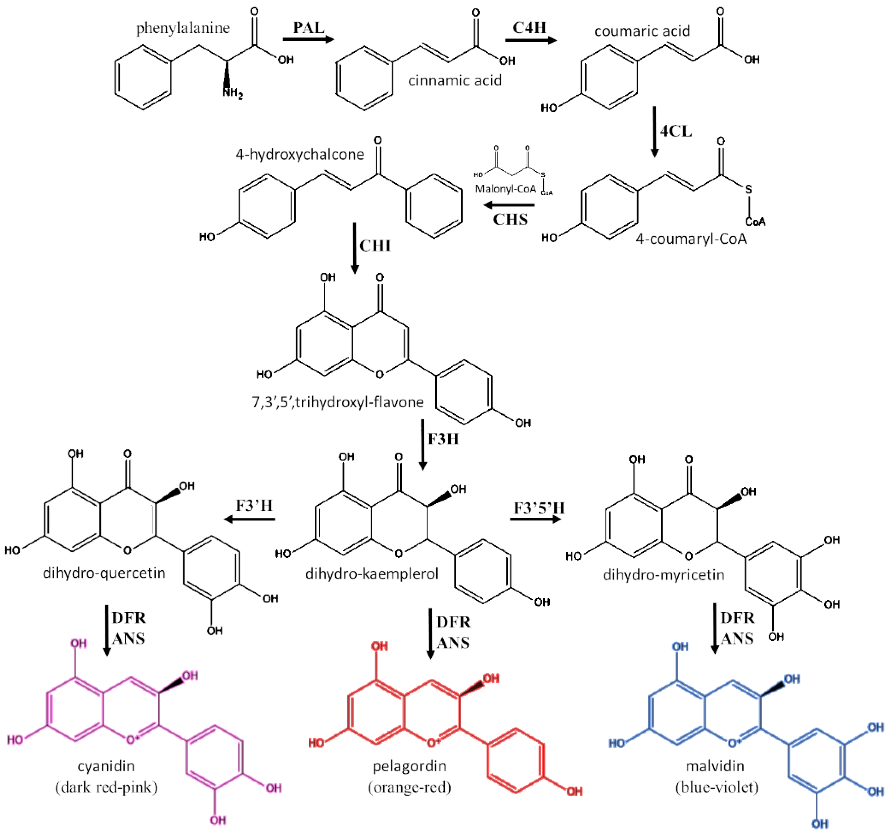 Agriculture 11 00212 g002