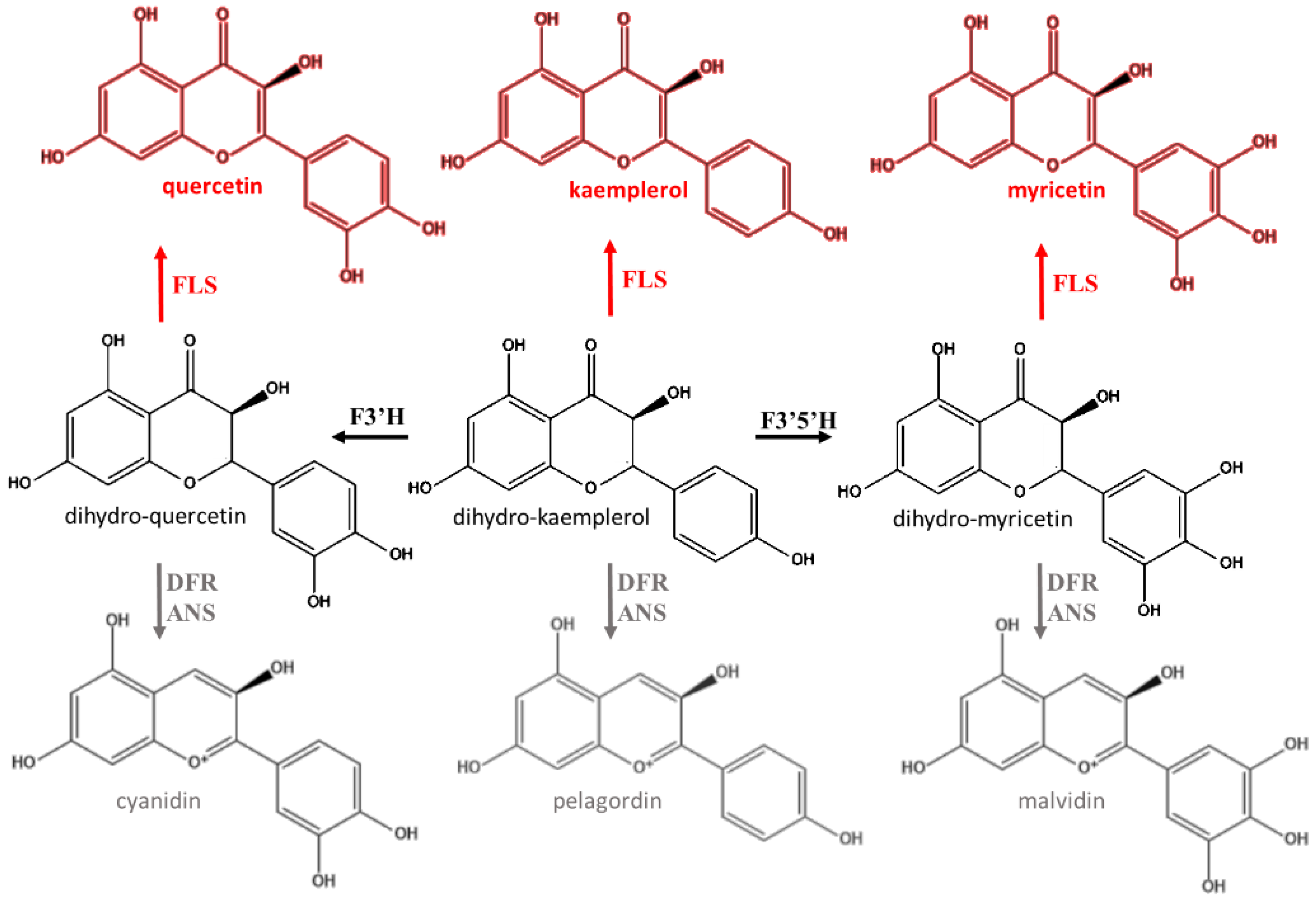 Agriculture 11 00212 g003