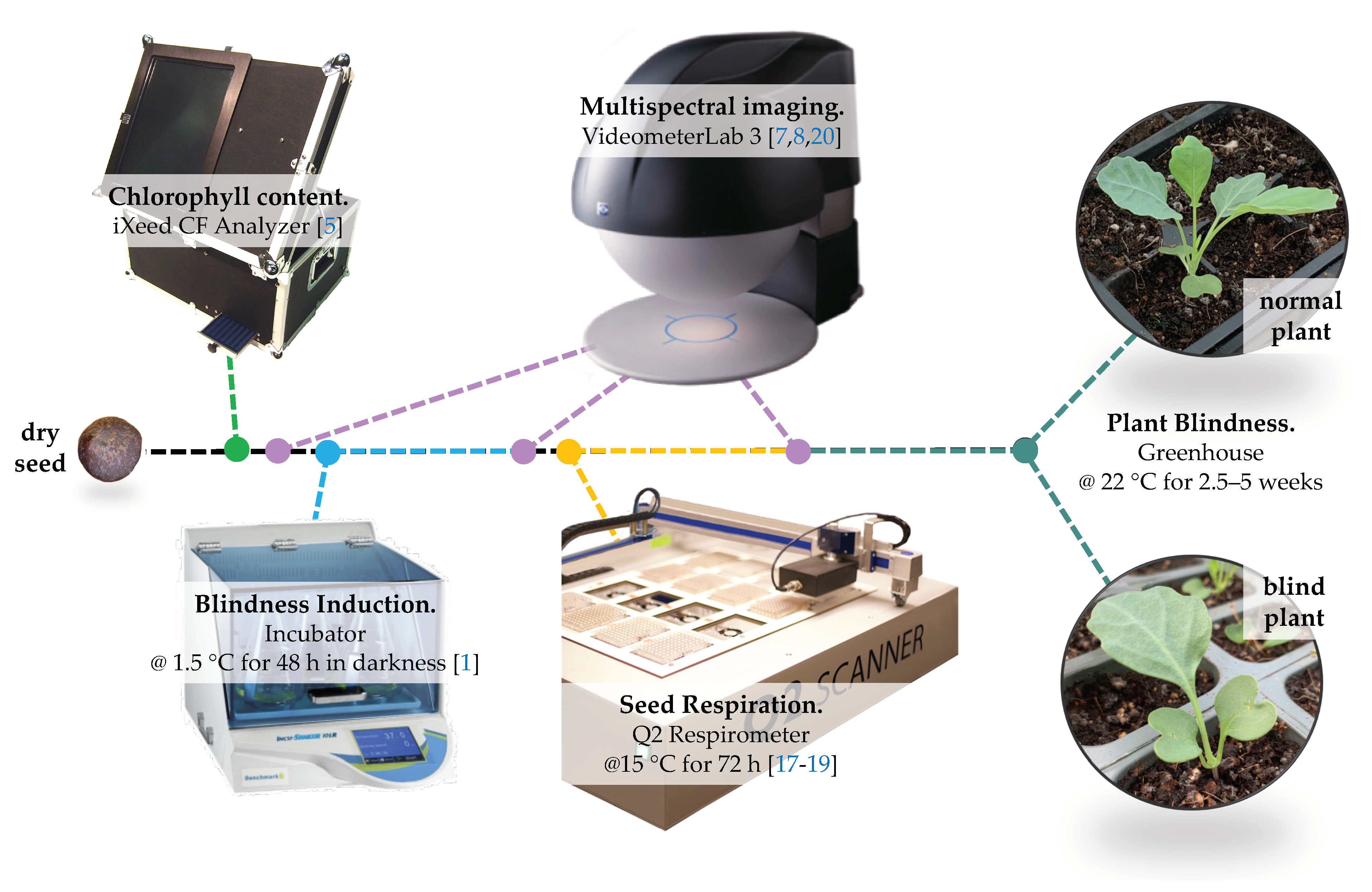 Agriculture 11 00220 g001