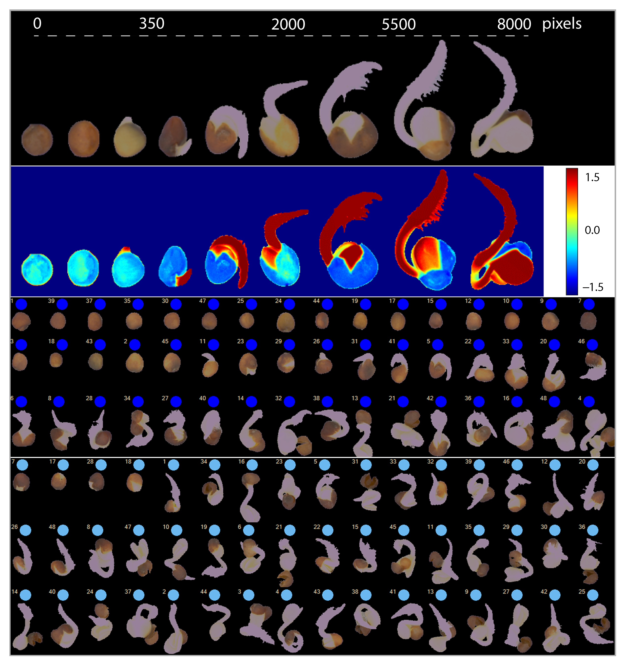 Agriculture 11 00220 g008
