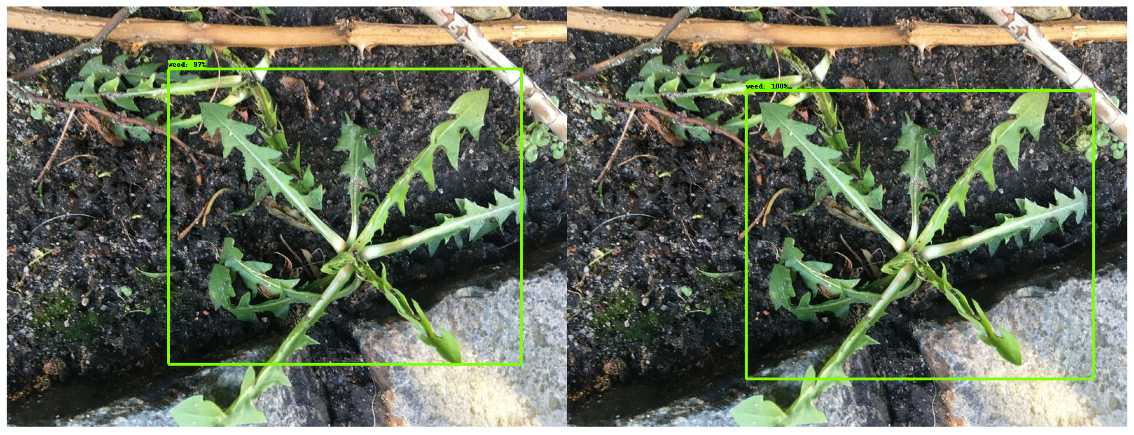 Agriculture 11 00222 g024