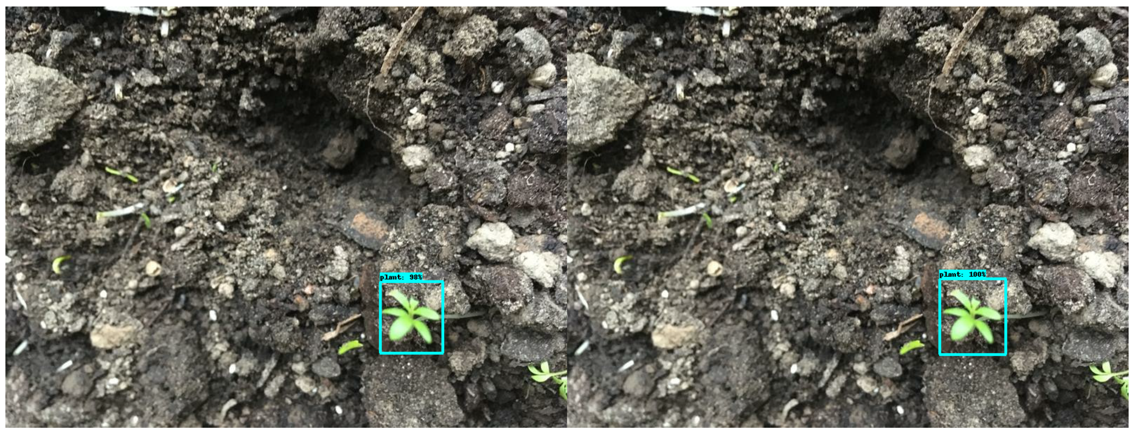 Agriculture 11 00222 g025