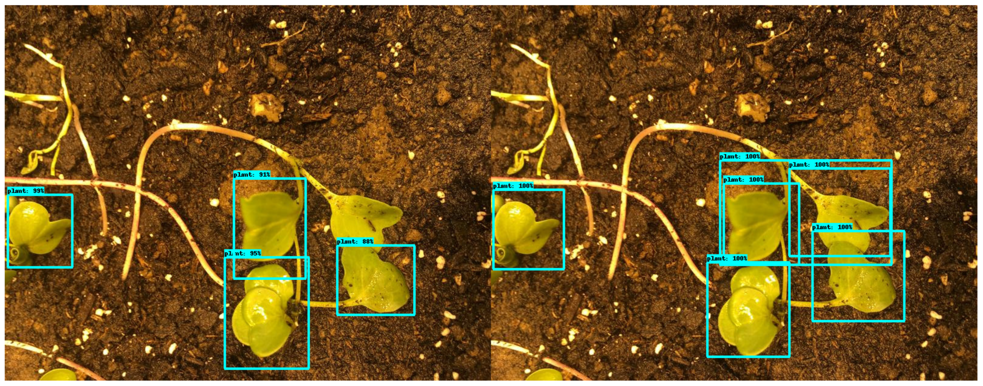 Agriculture 11 00222 g026