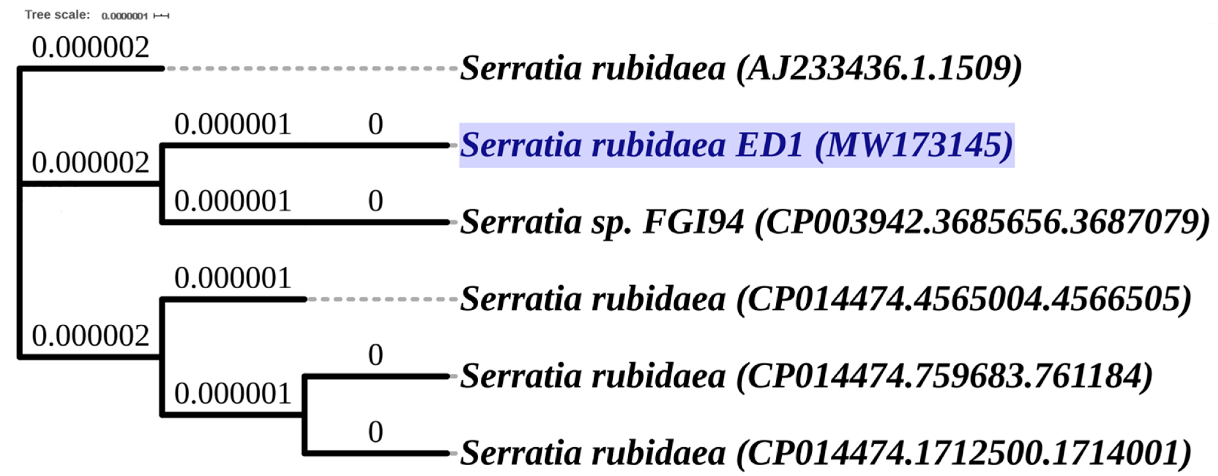 Agriculture 11 00224 g002
