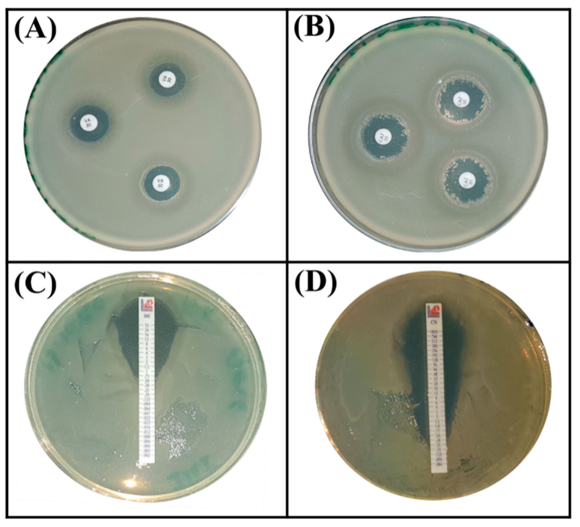 Agriculture 11 00224 g006