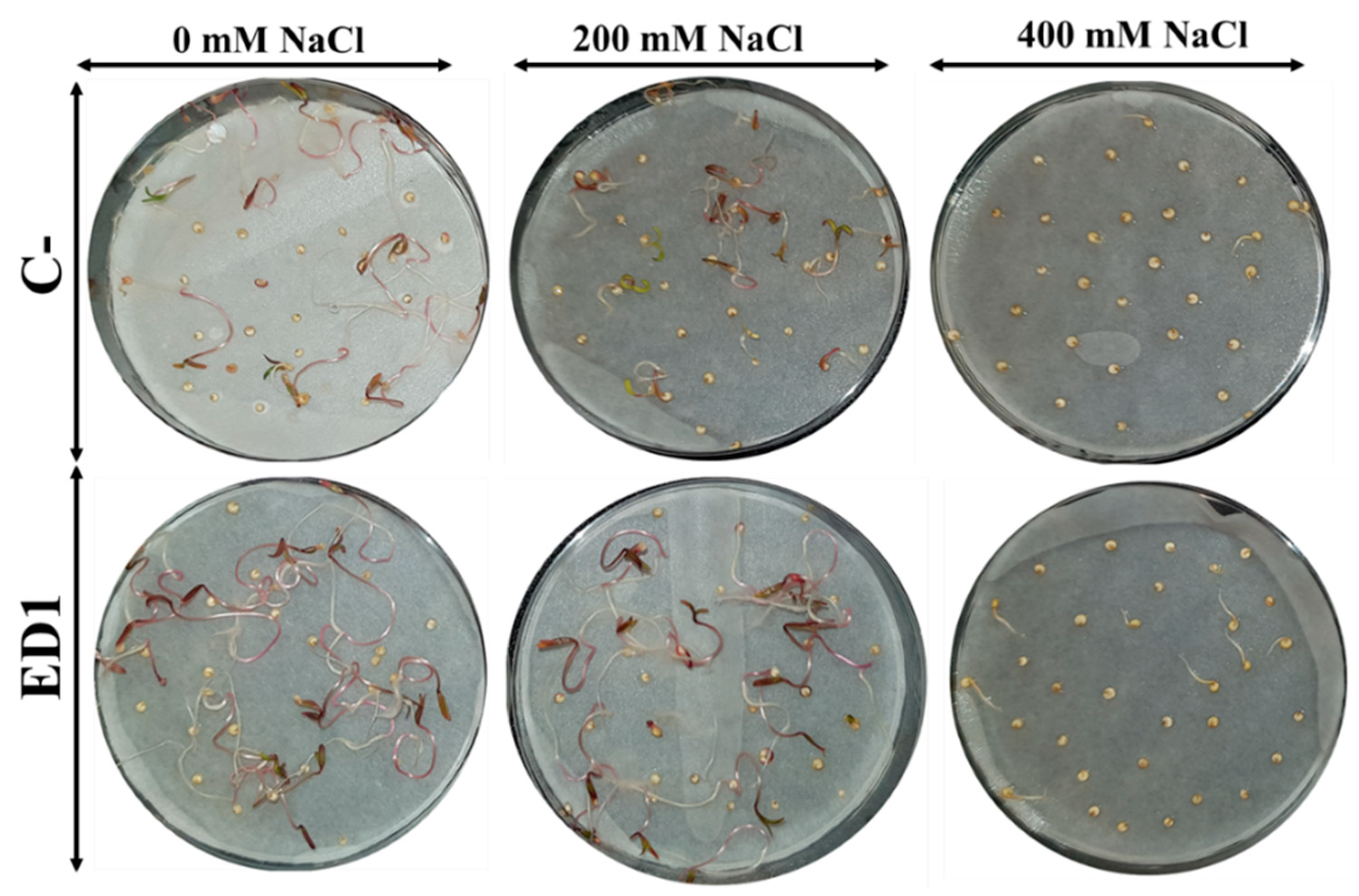 Agriculture 11 00224 g007