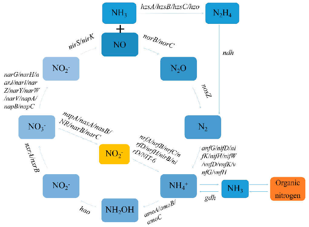 Agriculture 11 00234 g001