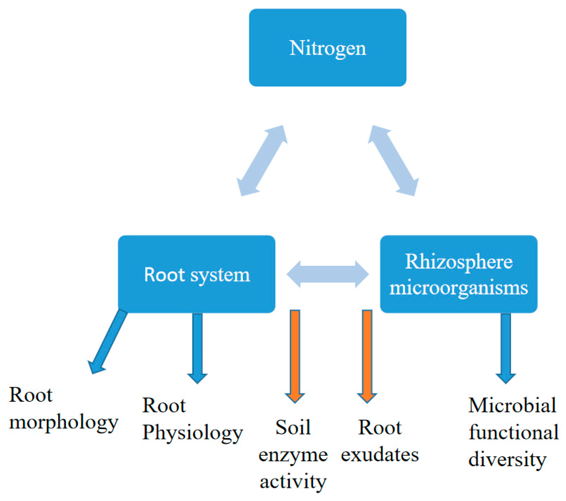 Agriculture 11 00234 g002