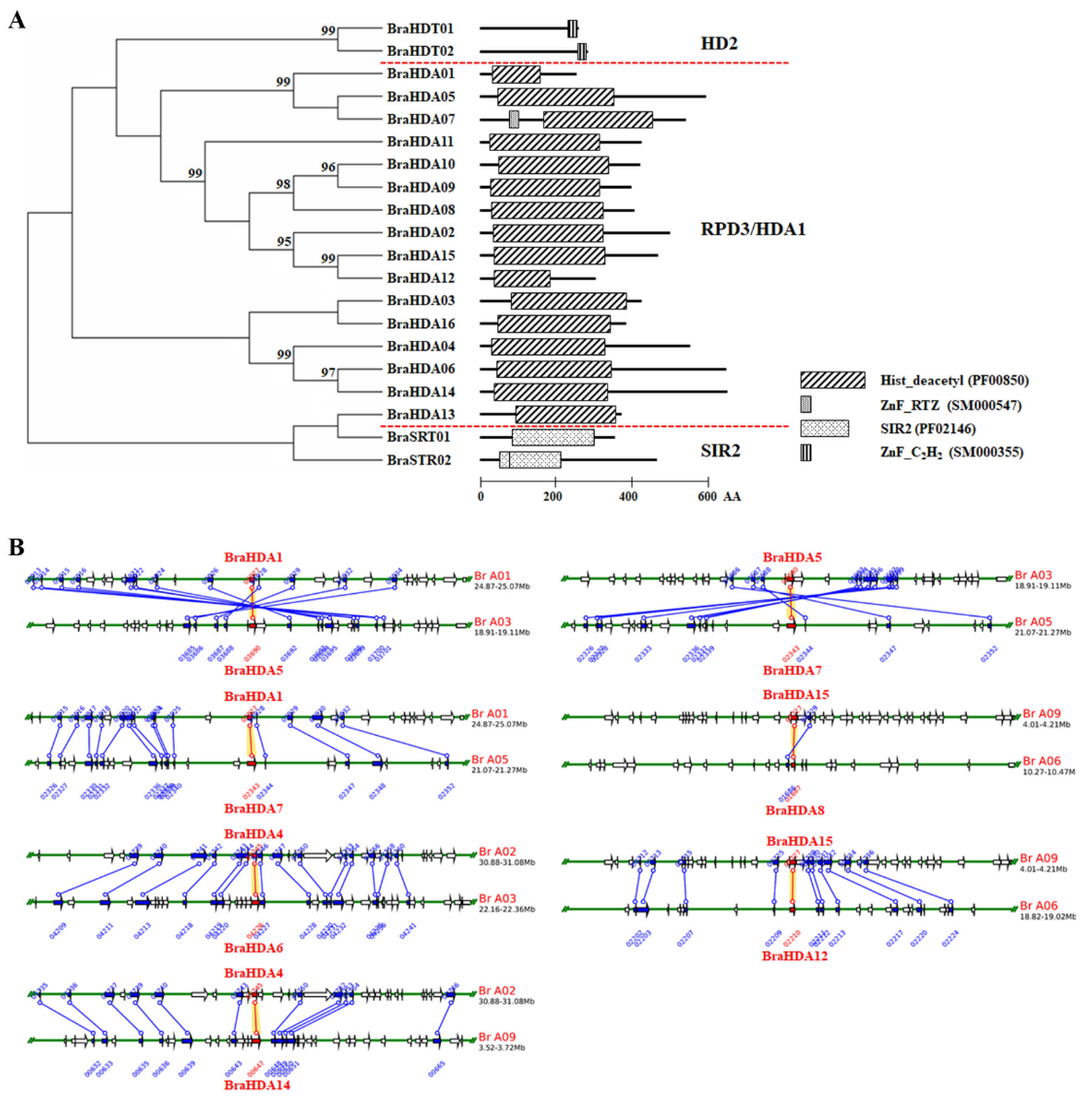 Agriculture 11 00244 g001 Agriculture 11 00244 g001