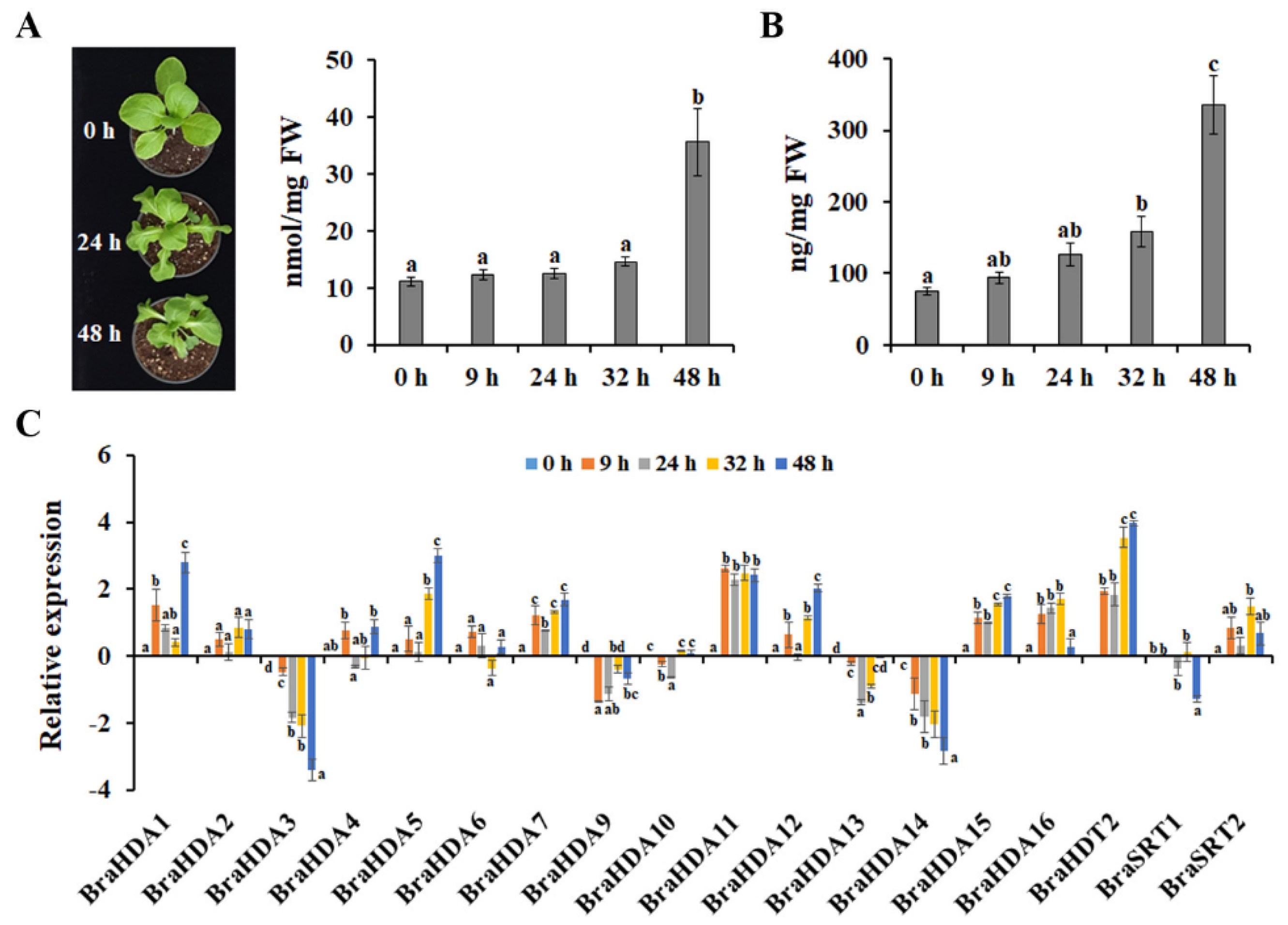 Agriculture 11 00244 g002 Agriculture 11 00244 g002