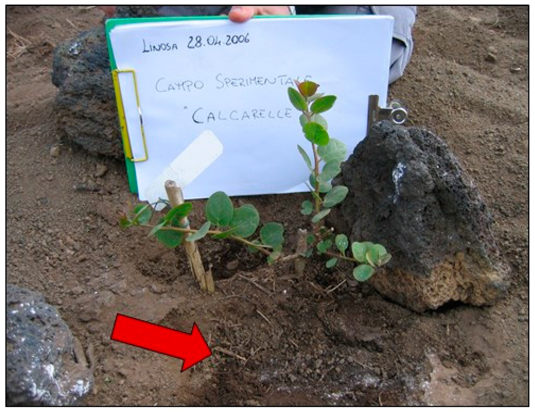 Agriculture 11 00327 g001 Agriculture 11 00327 g001