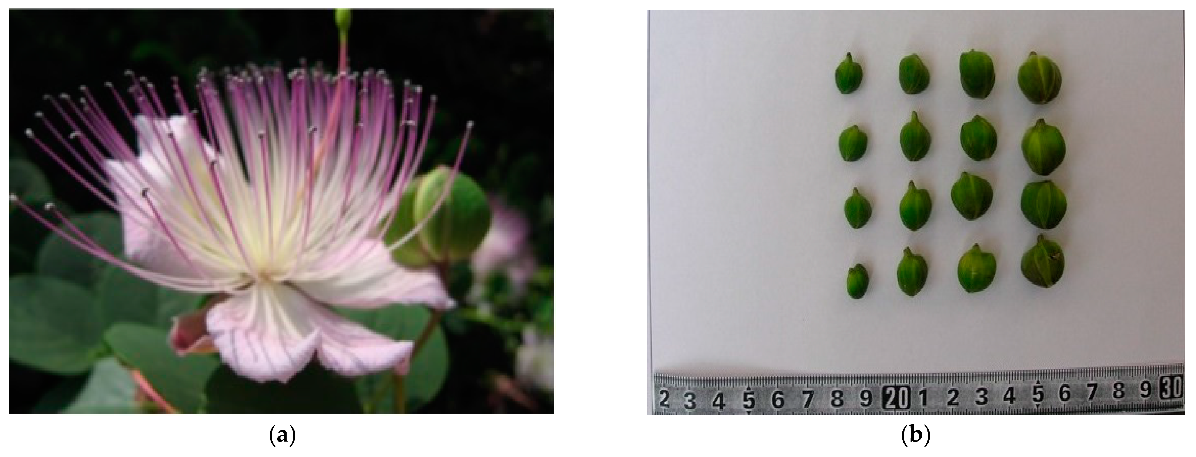 Agriculture 11 00327 g006 Agriculture 11 00327 g006