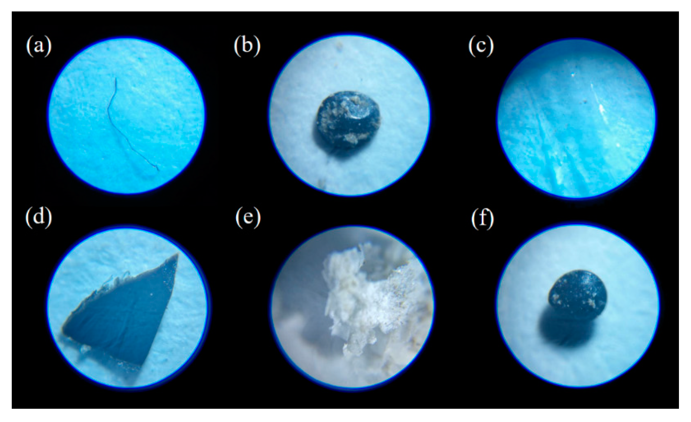 Agriculture 11 00330 g007 Agriculture 11 00330 g007