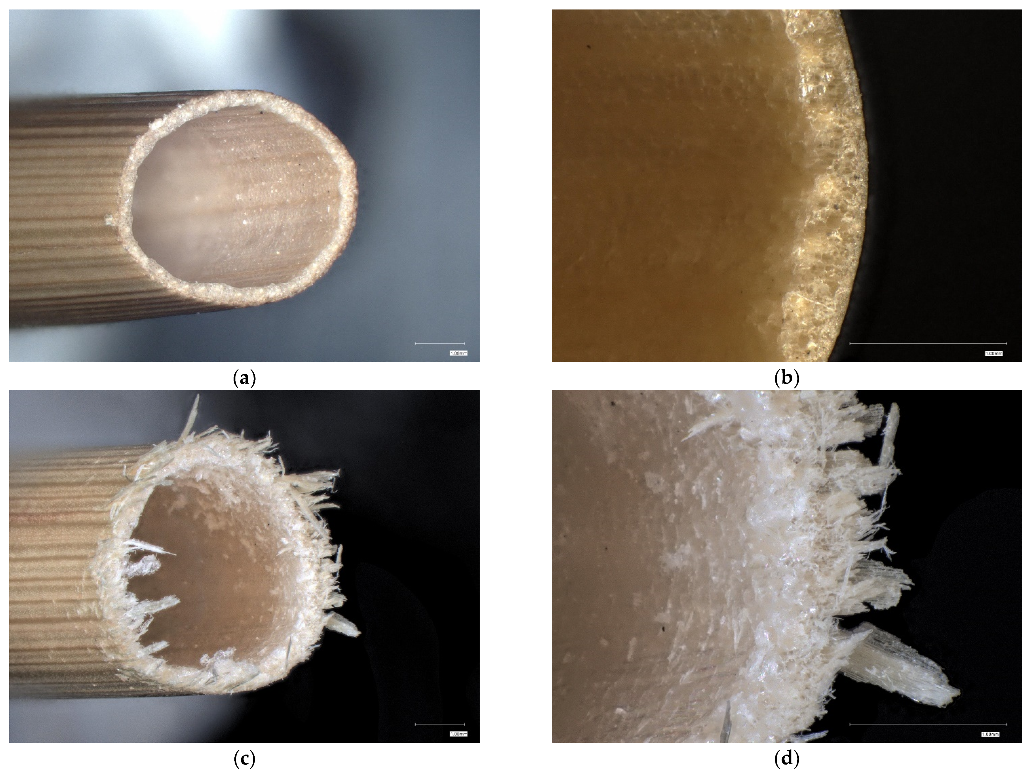 Agriculture 11 00392 g008