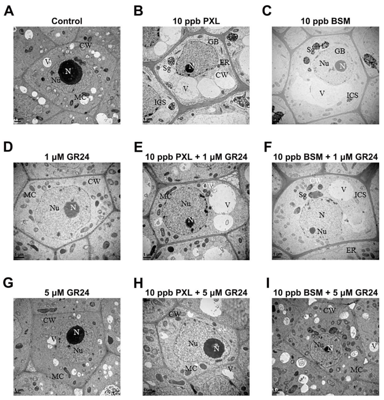Agriculture 11 00419 g004