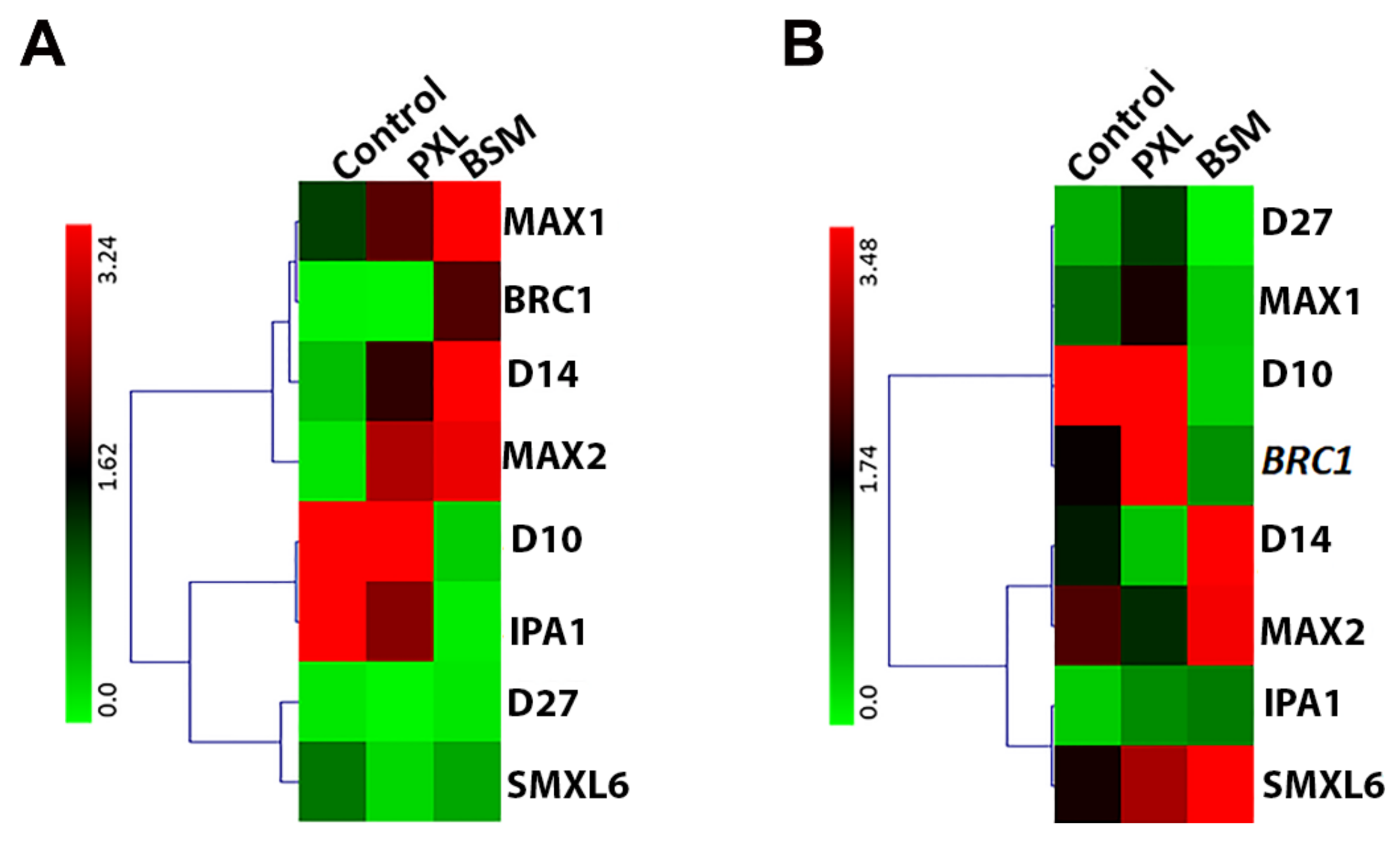 Agriculture 11 00419 g005