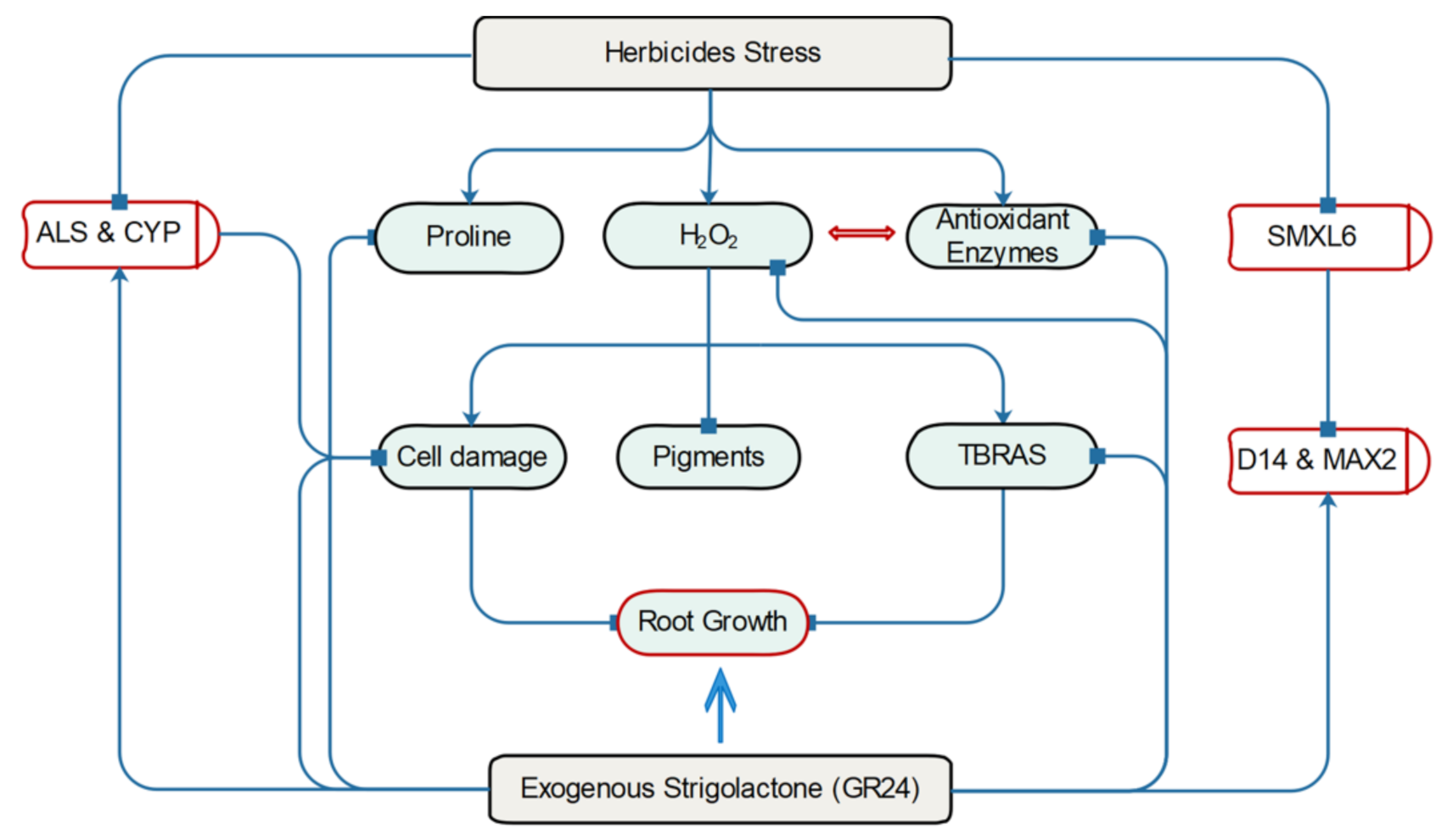 Agriculture 11 00419 g007