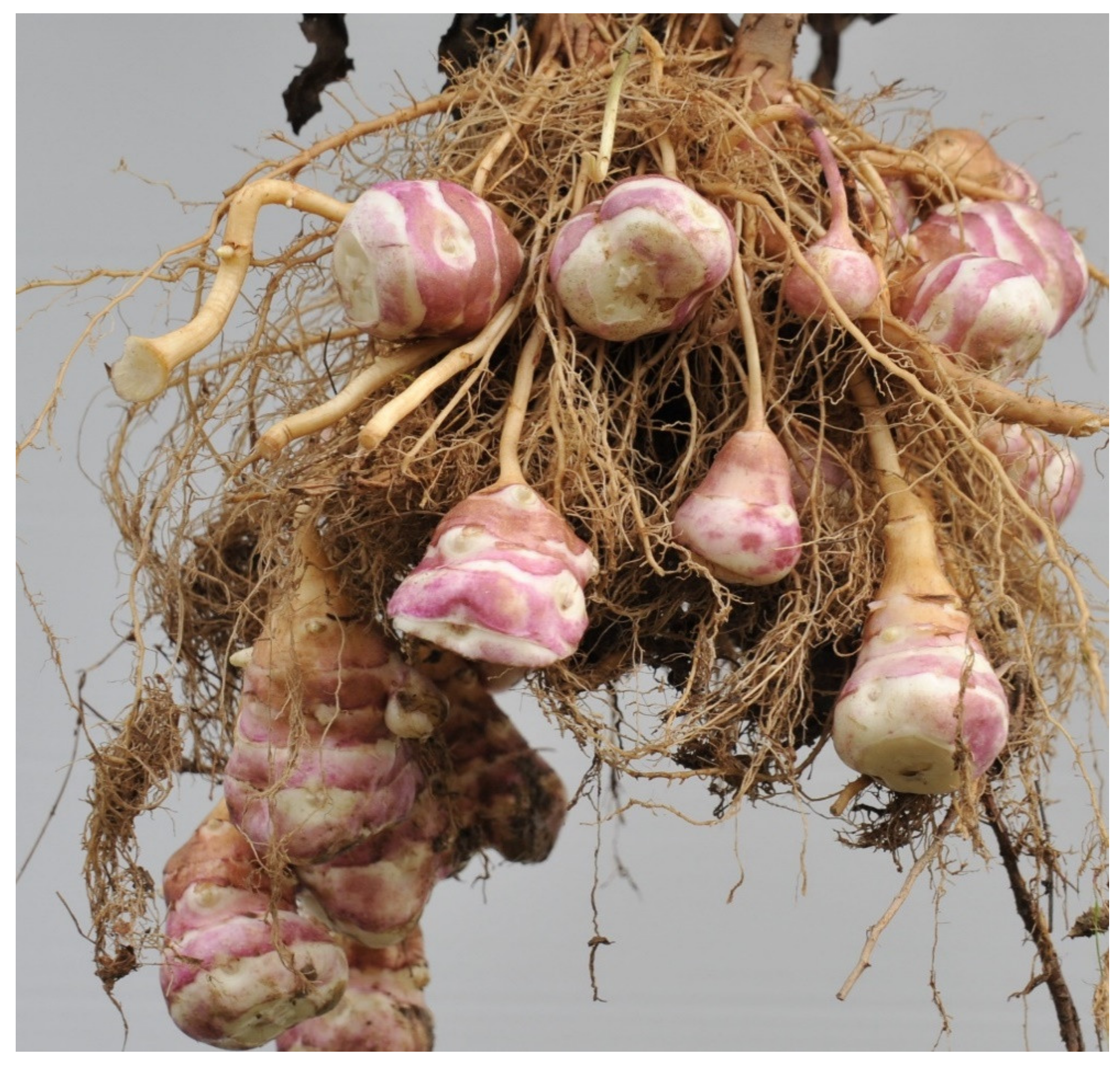 Agriculture 11 00440 g002 Agriculture 11 00440 g002