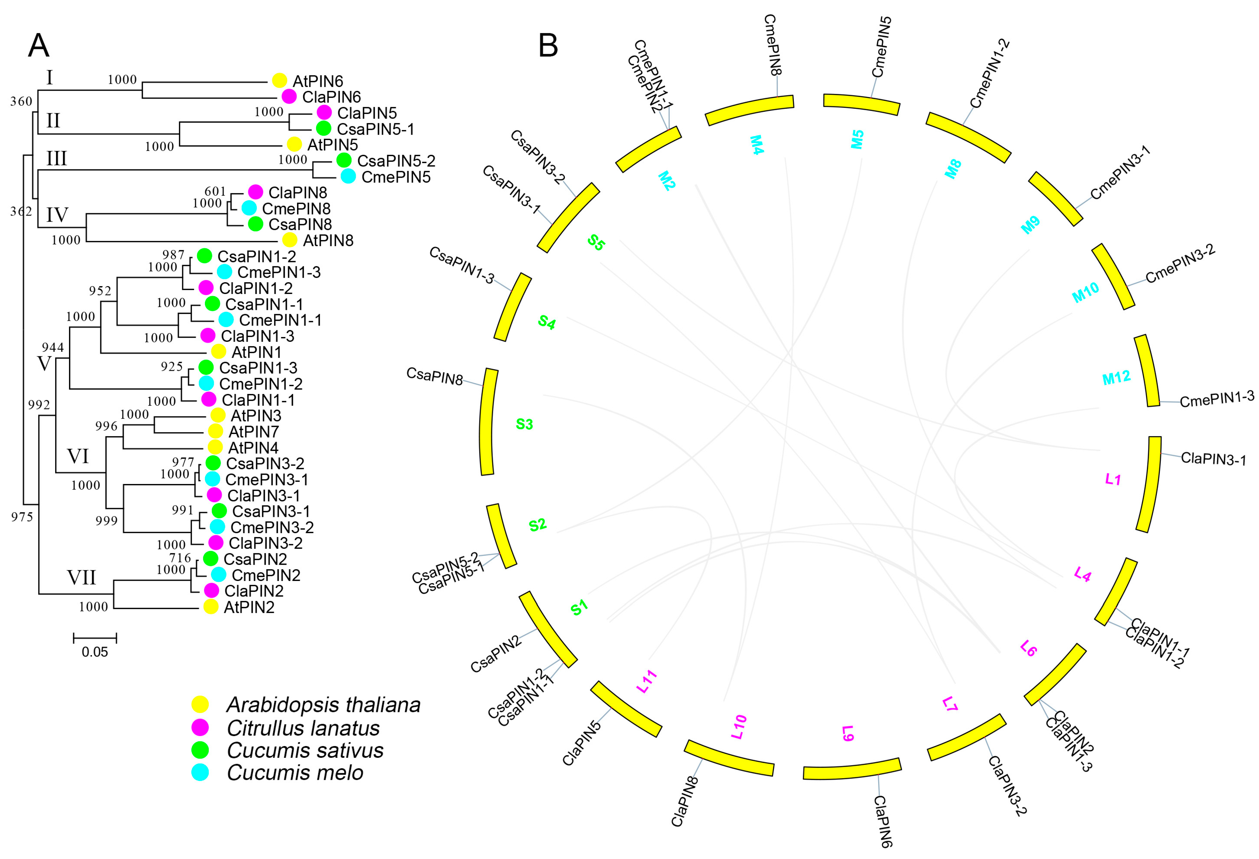 Agriculture 11 00447 g001 Agriculture 11 00447 g001