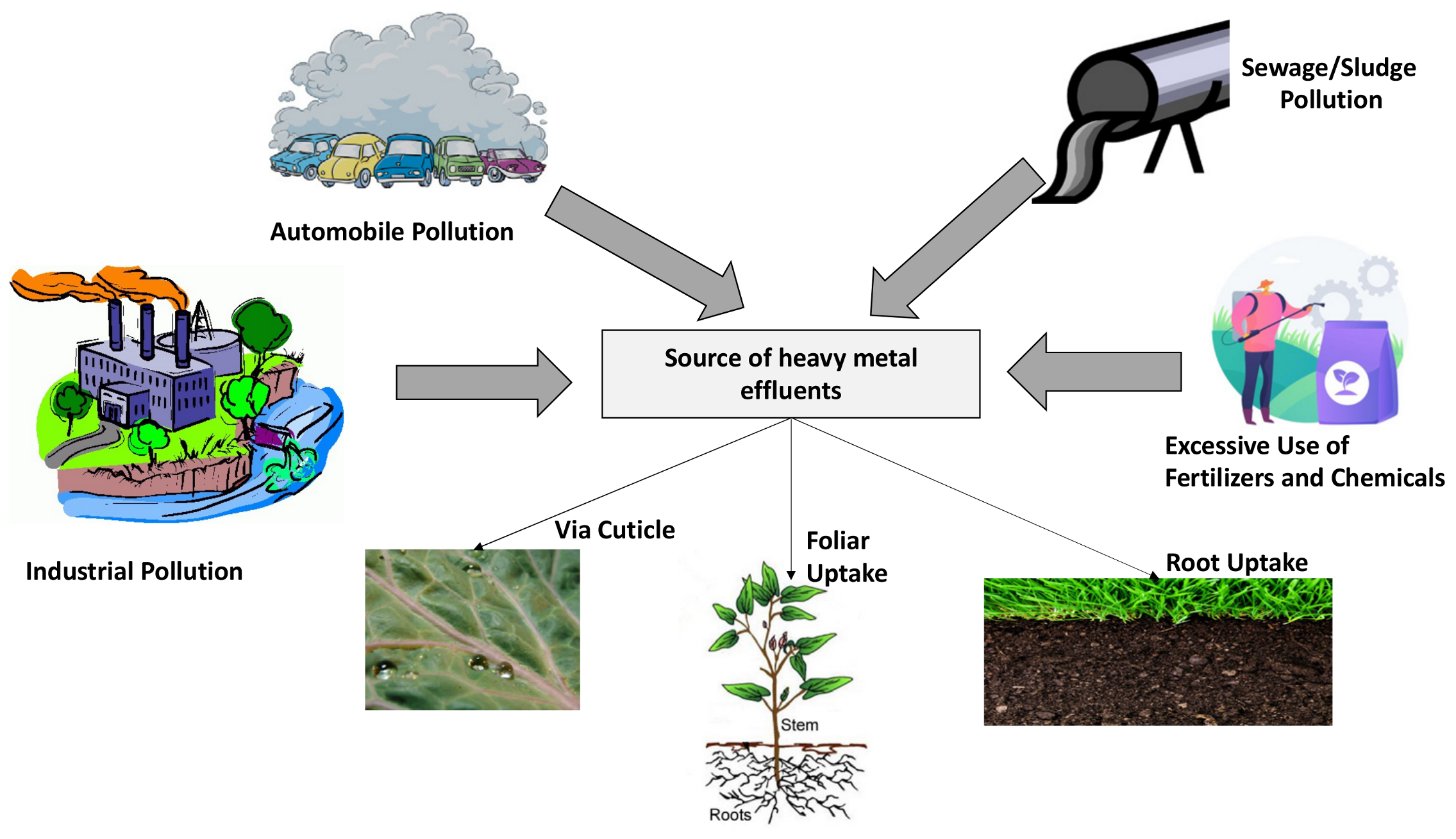 Agriculture 11 00475 g002