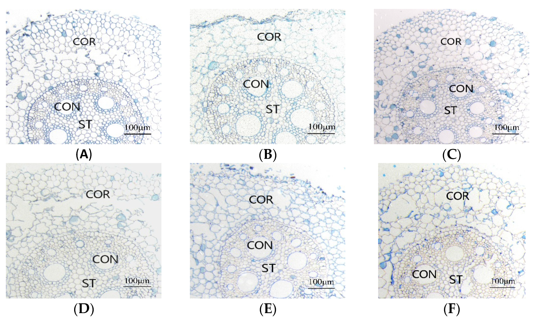 Agriculture 11 00477 g003 Agriculture 11 00477 g003