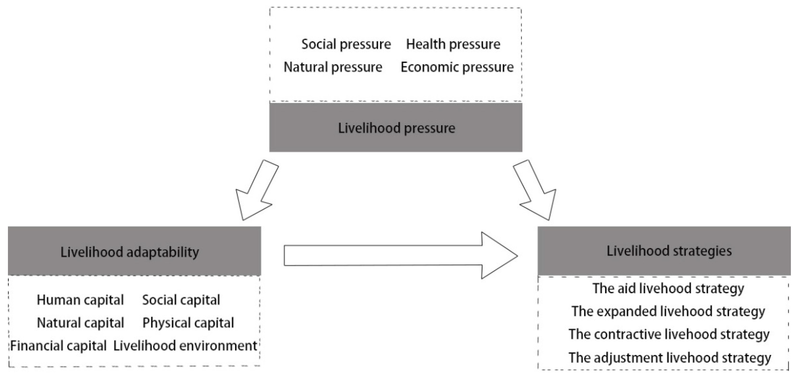 Agriculture 11 00506 g001