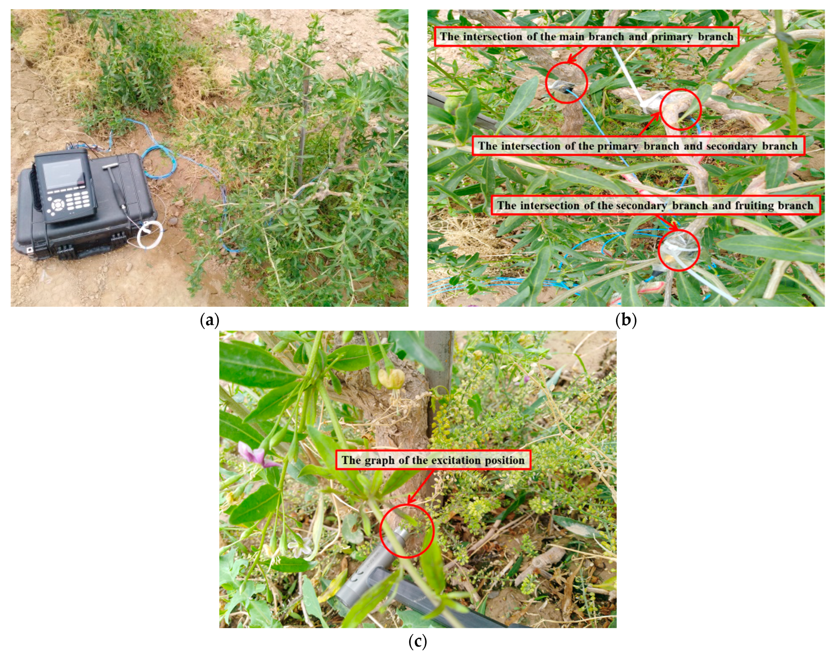 Agriculture 11 00519 g005