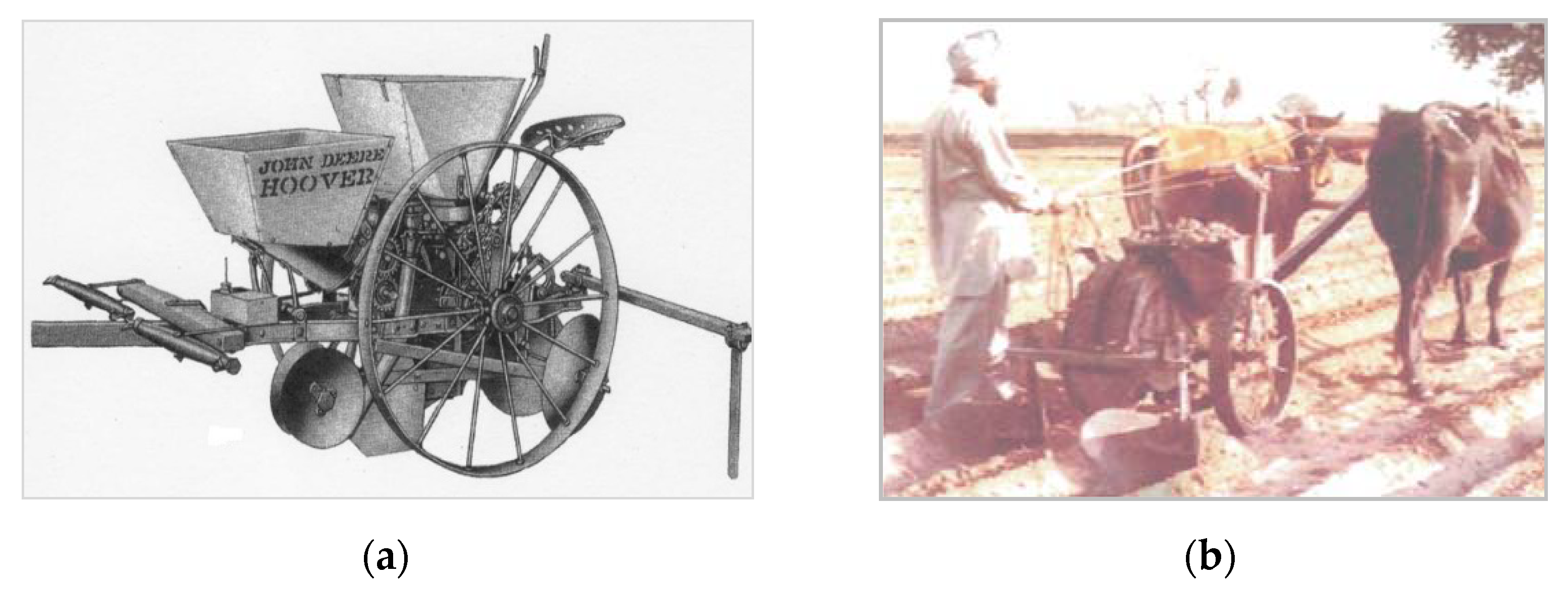 Agriculture 11 00521 g013