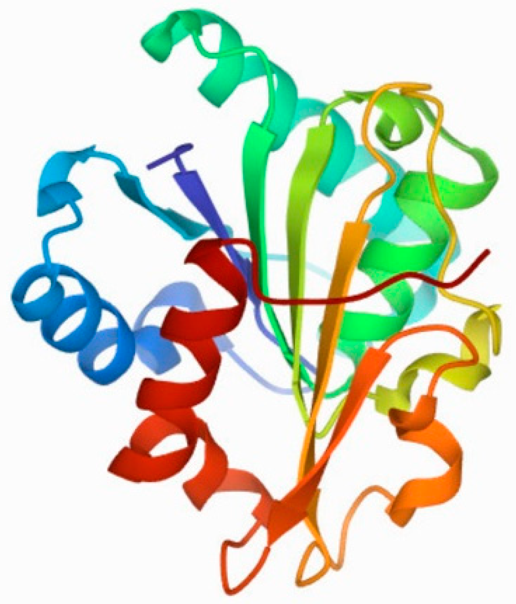 Agriculture 11 00540 g001