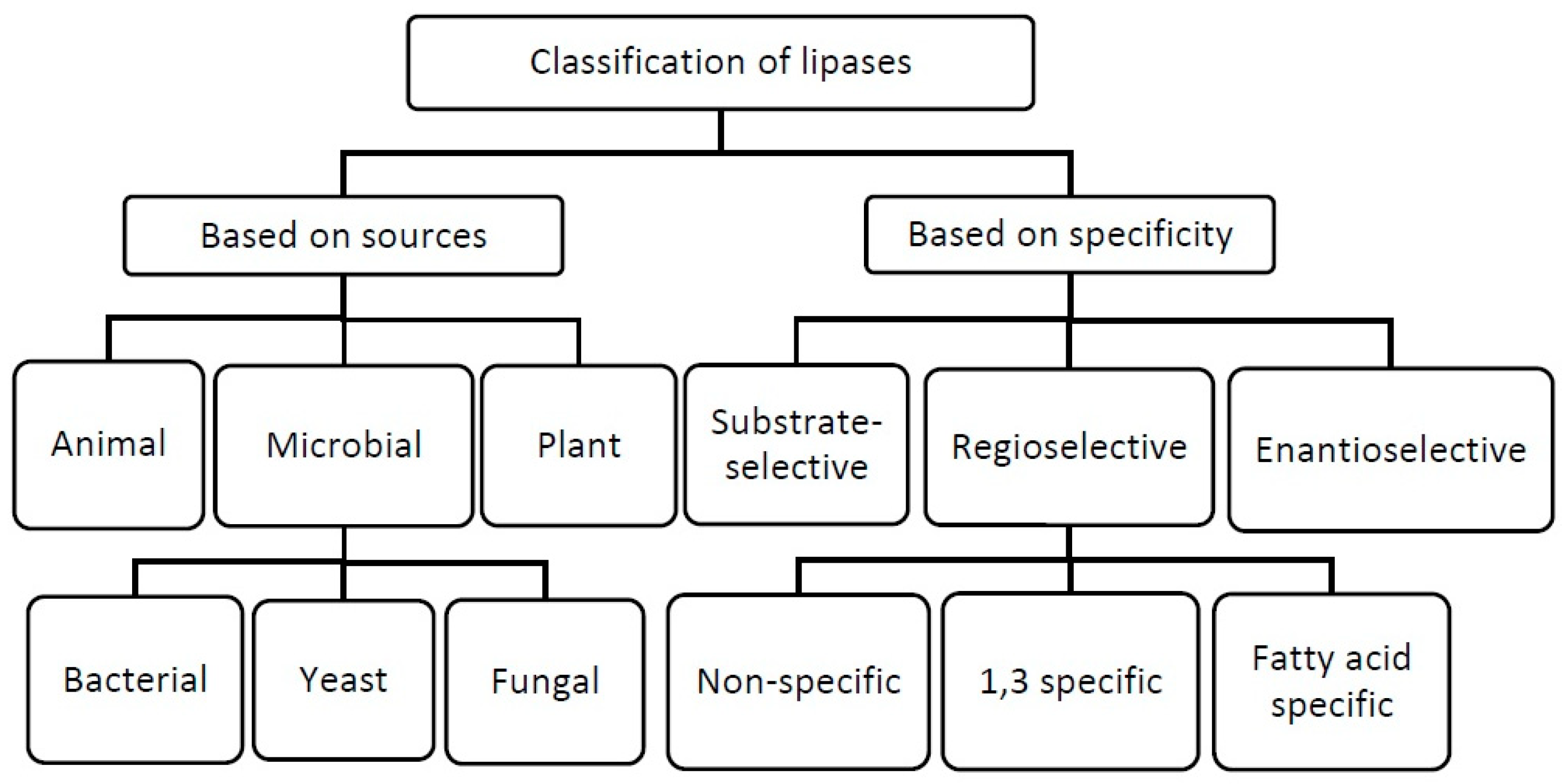 Agriculture 11 00540 g002