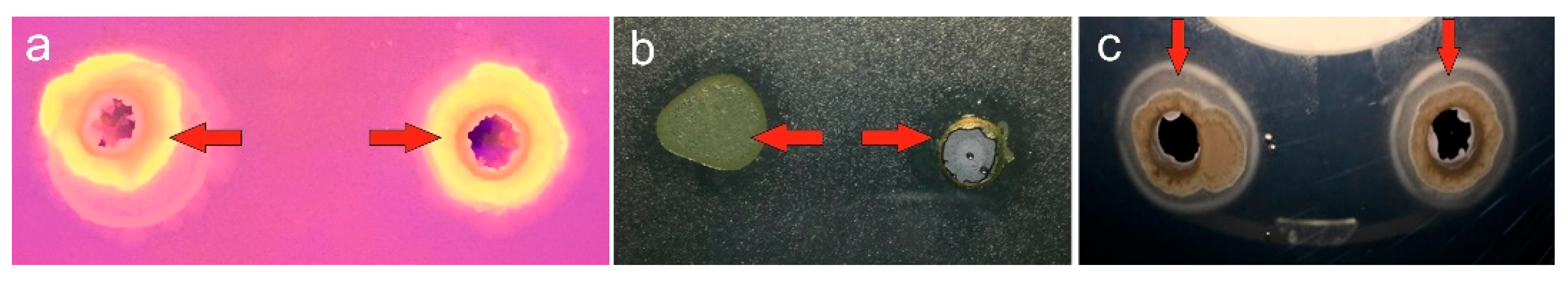 Agriculture 11 00540 g005