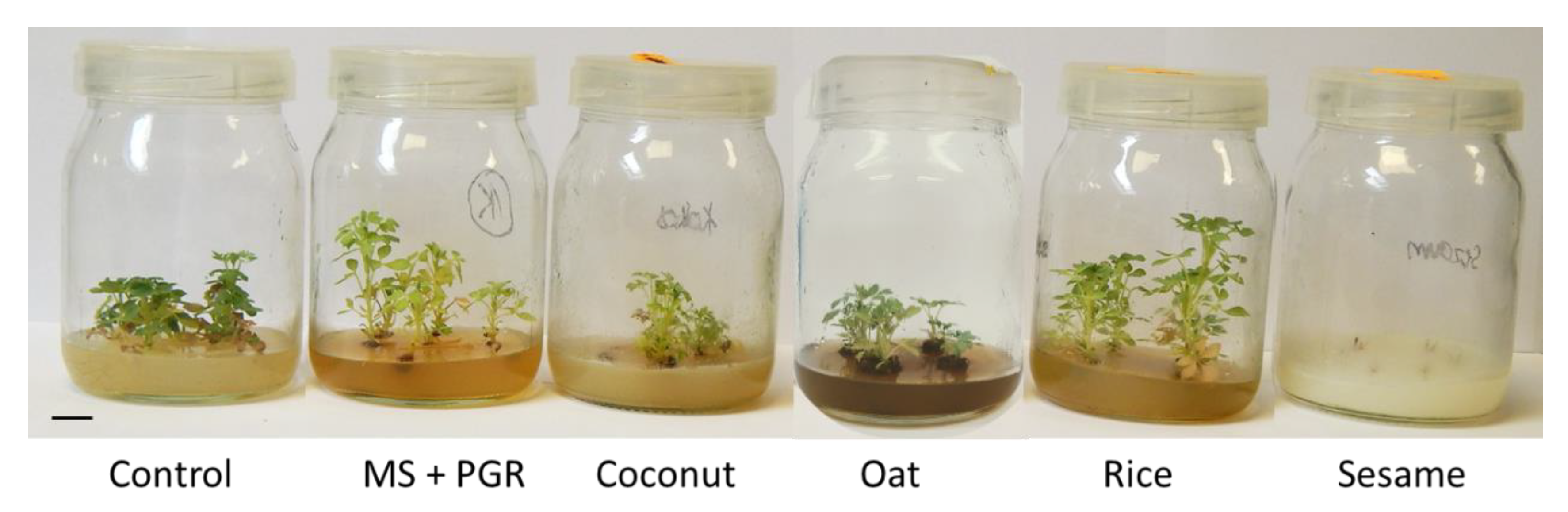 Agriculture 11 00542 g003 Agriculture 11 00542 g003