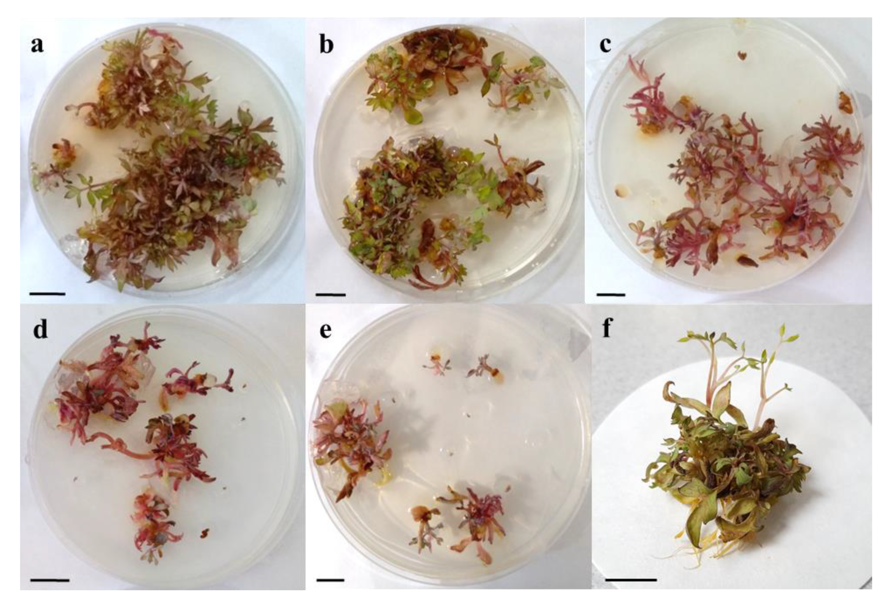 Agriculture 11 00542 g006 Agriculture 11 00542 g006