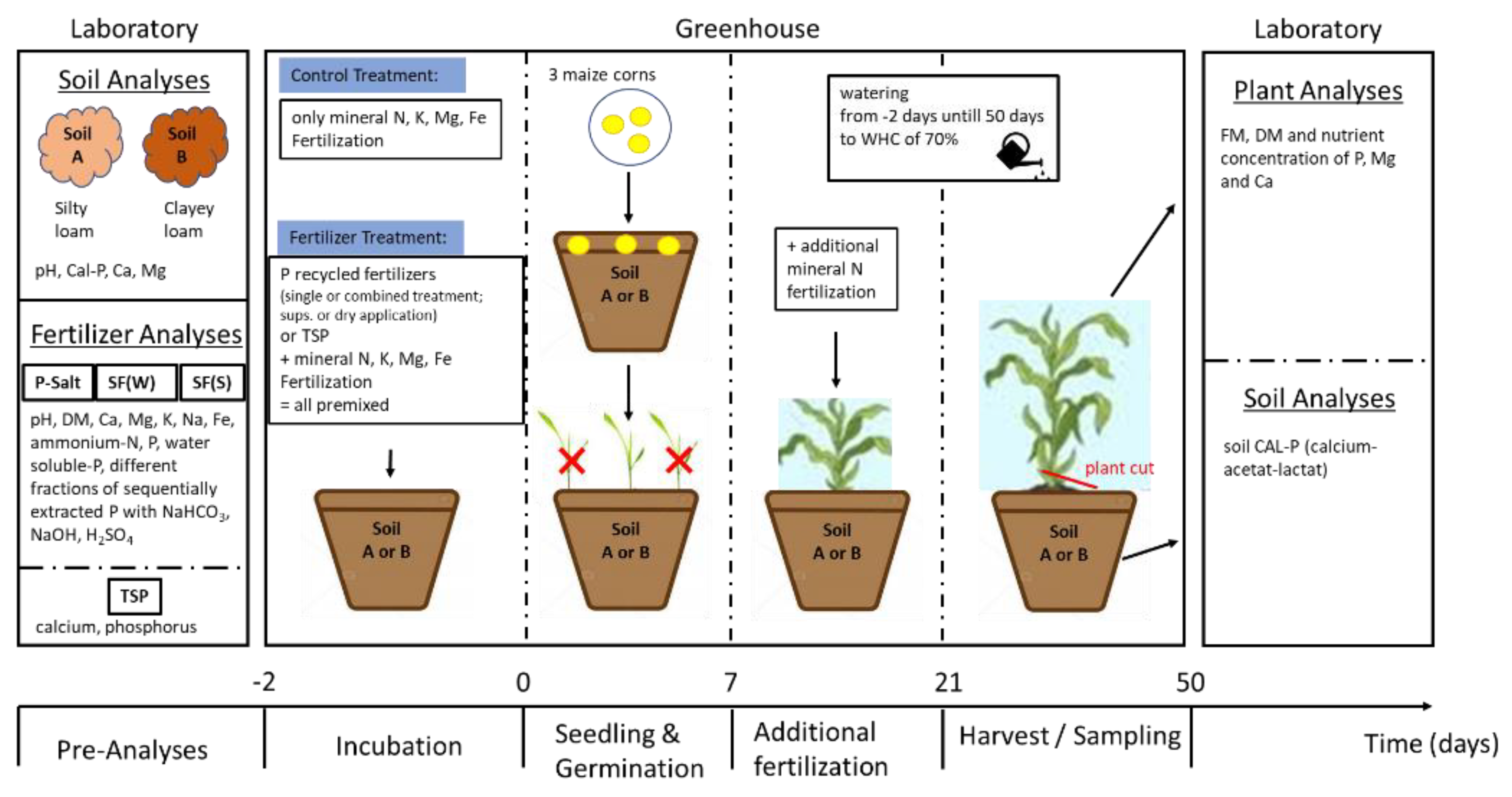 Agriculture 11 00553 g002