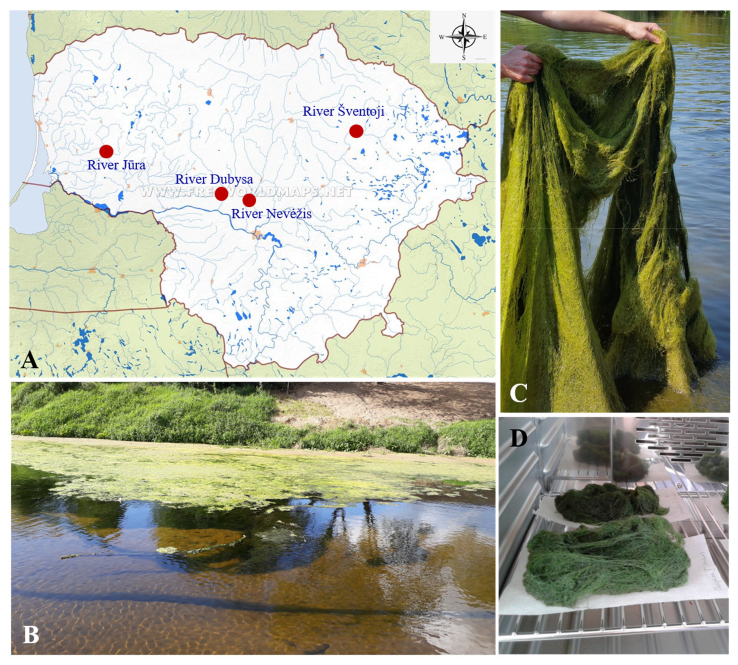 Agriculture 11 00582 g001