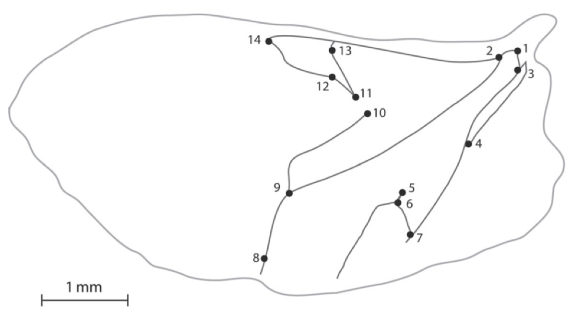 Agriculture 11 00585 g001