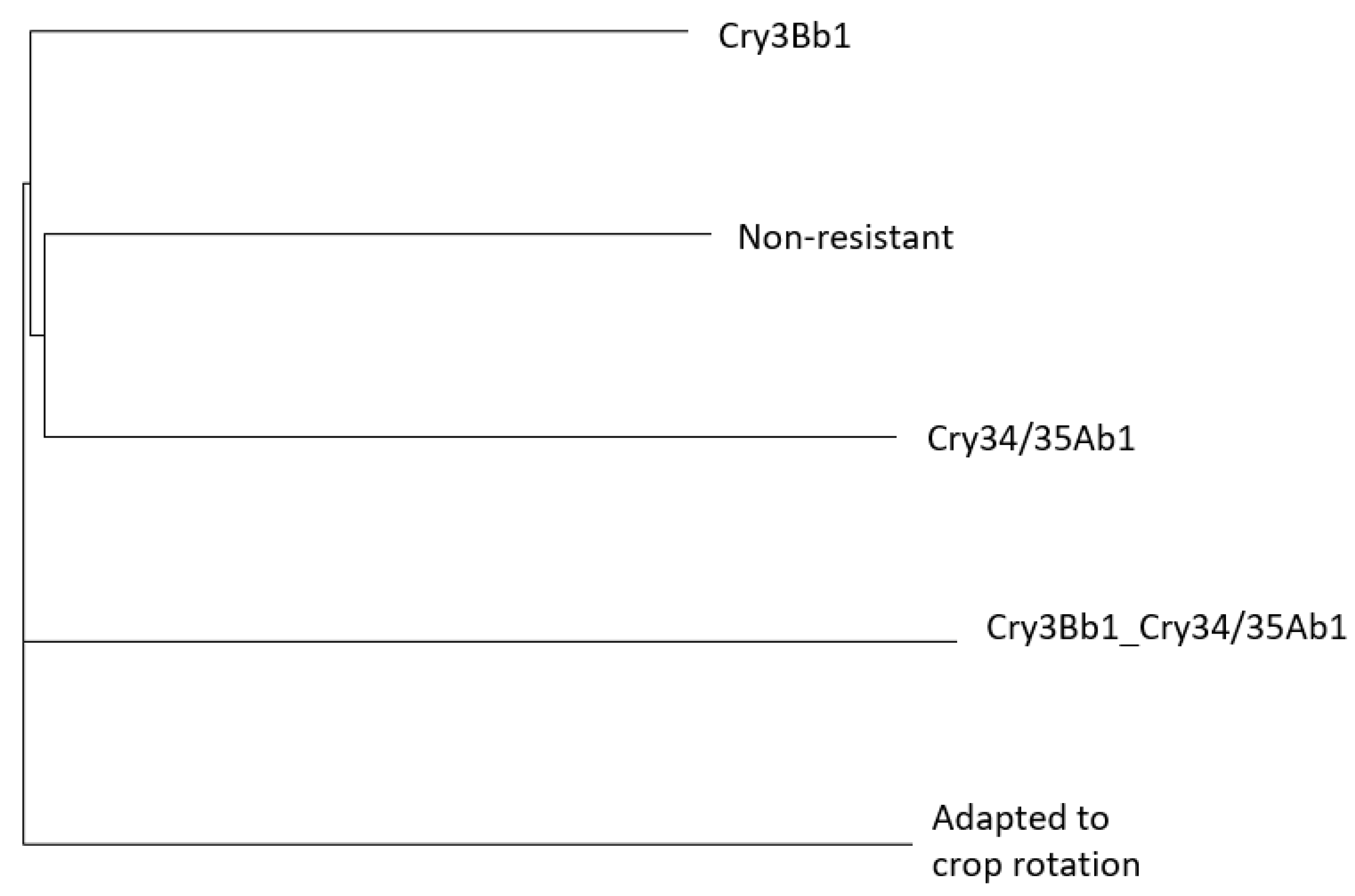 Agriculture 11 00585 g006