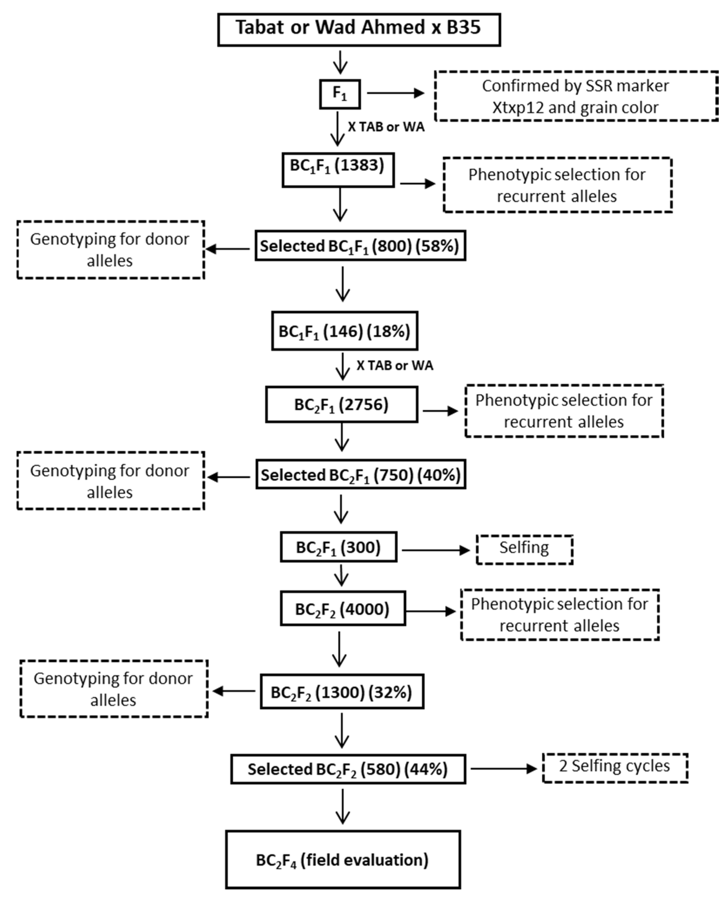 Agriculture 11 00598 g001