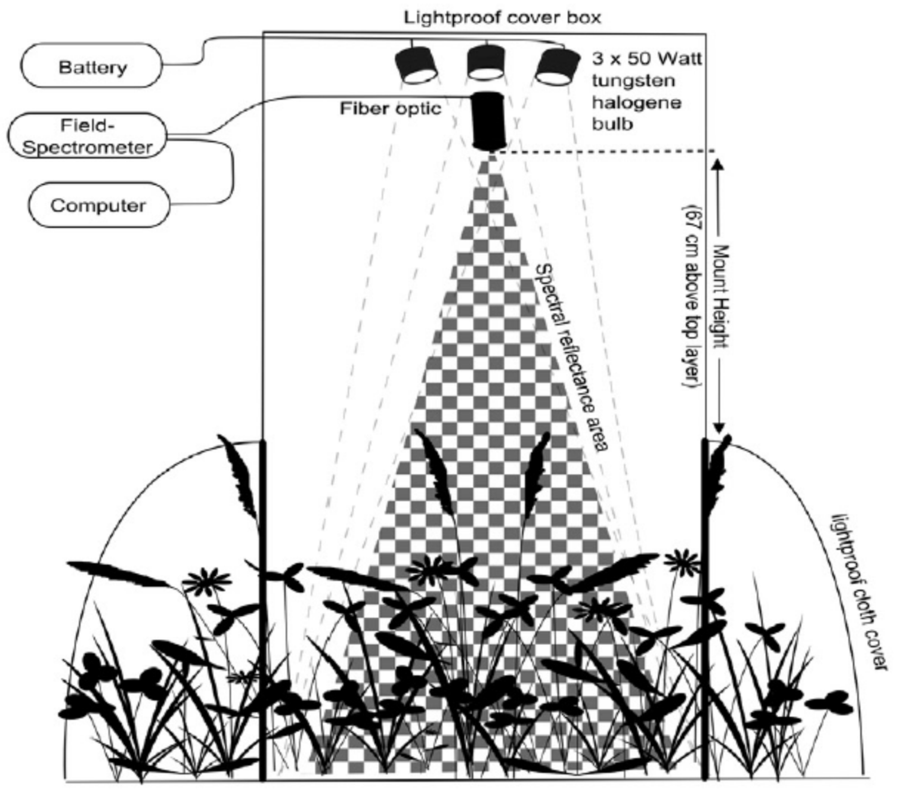 Agriculture 11 00600 g008