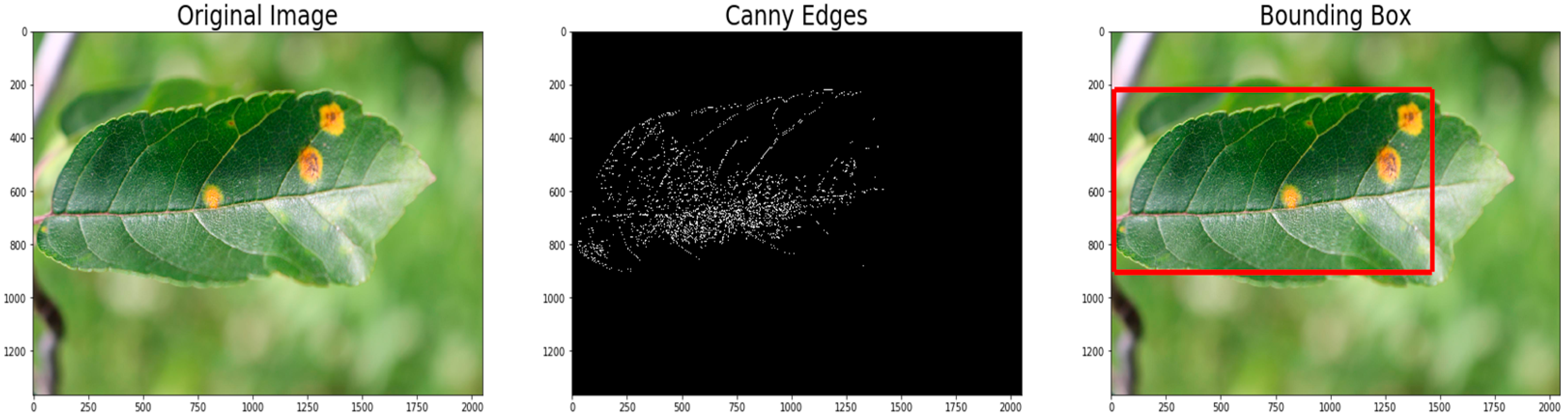 Agriculture 11 00617 g011