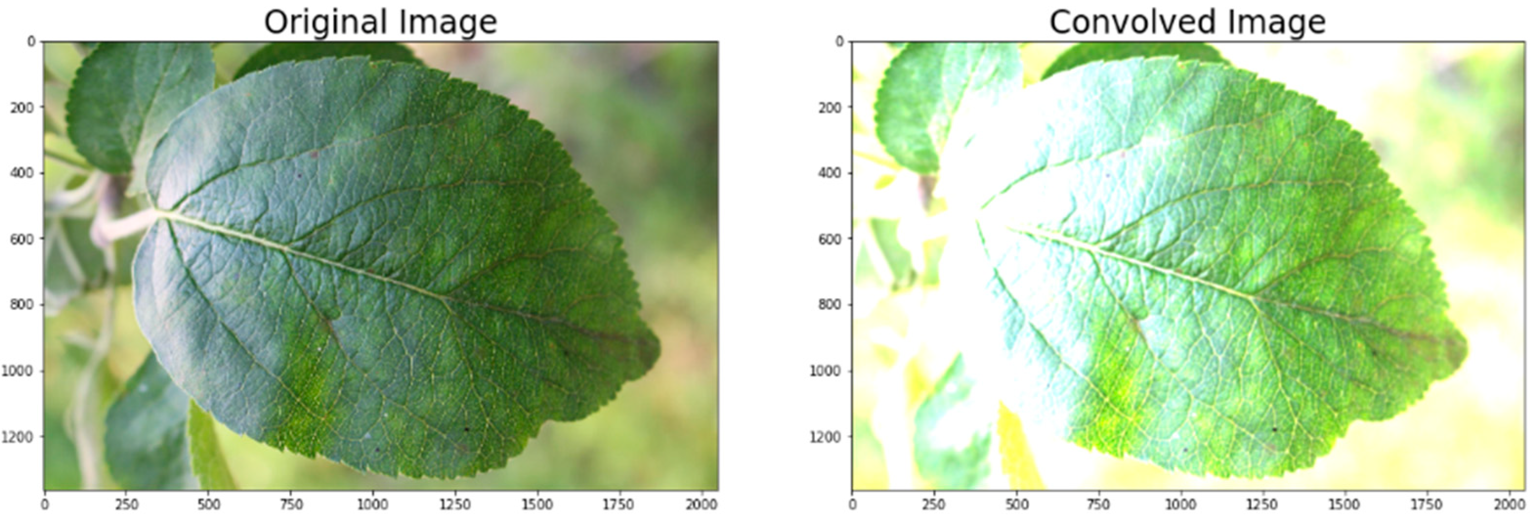 Agriculture 11 00617 g013