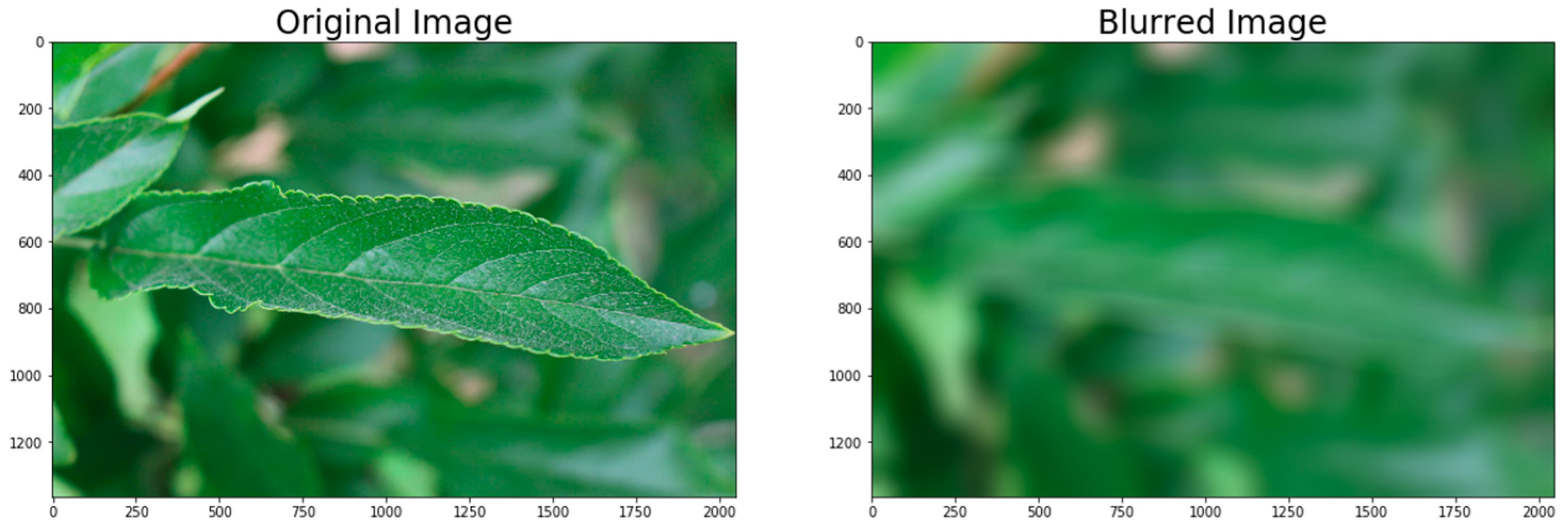 Agriculture 11 00617 g014