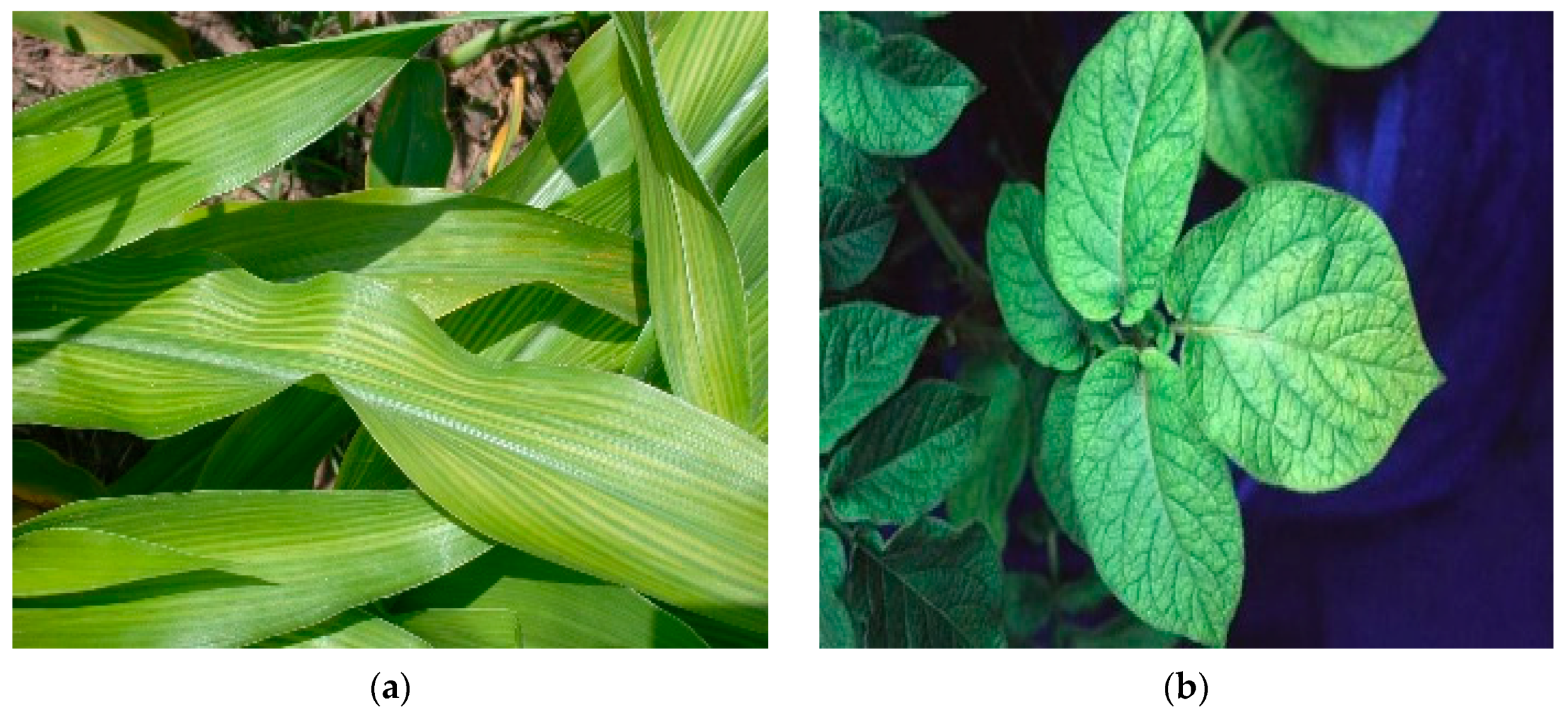 Agriculture 11 00626 g003 Agriculture 11 00626 g003