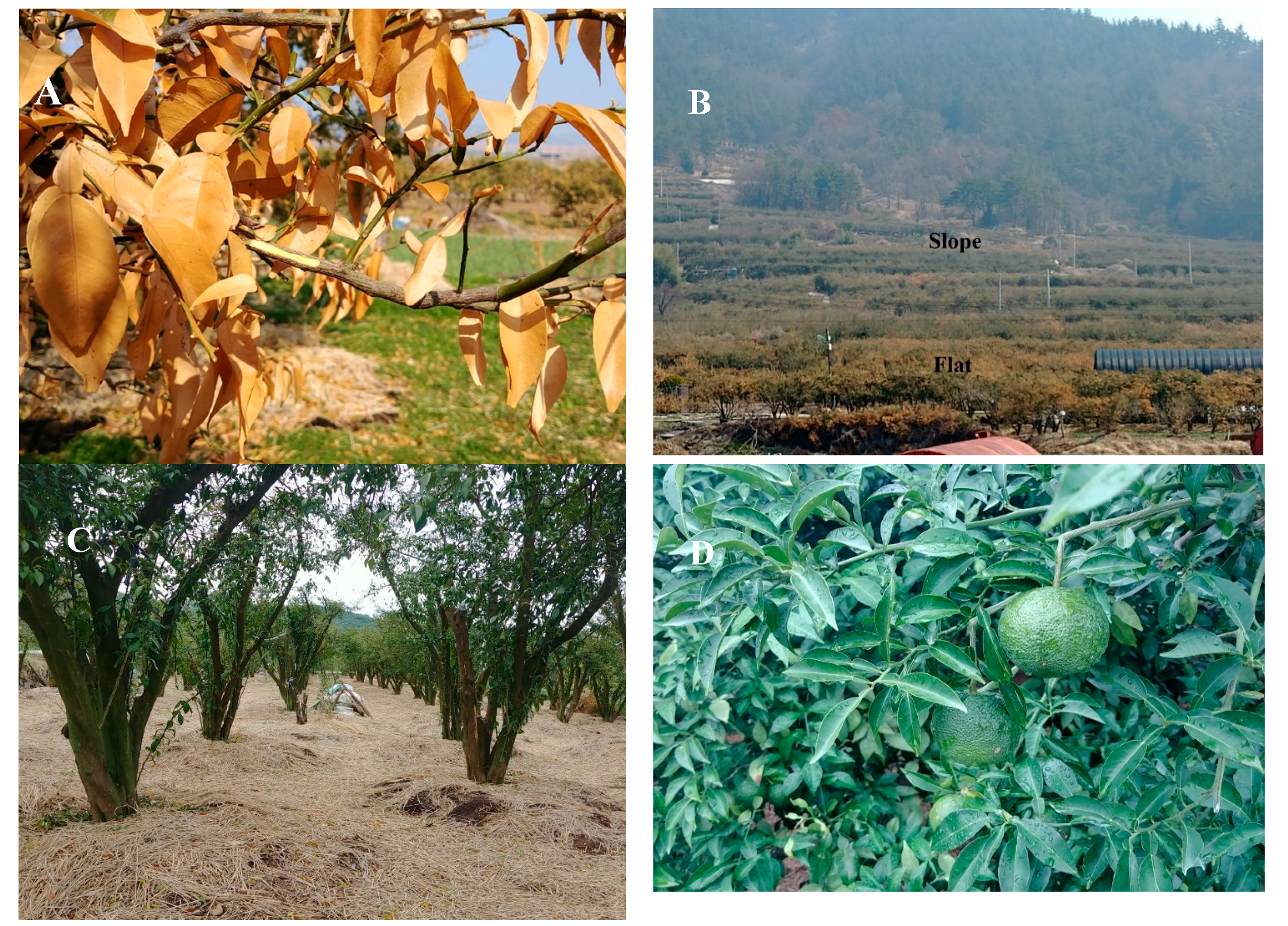 Agriculture 11 00660 g003 Agriculture 11 00660 g003
