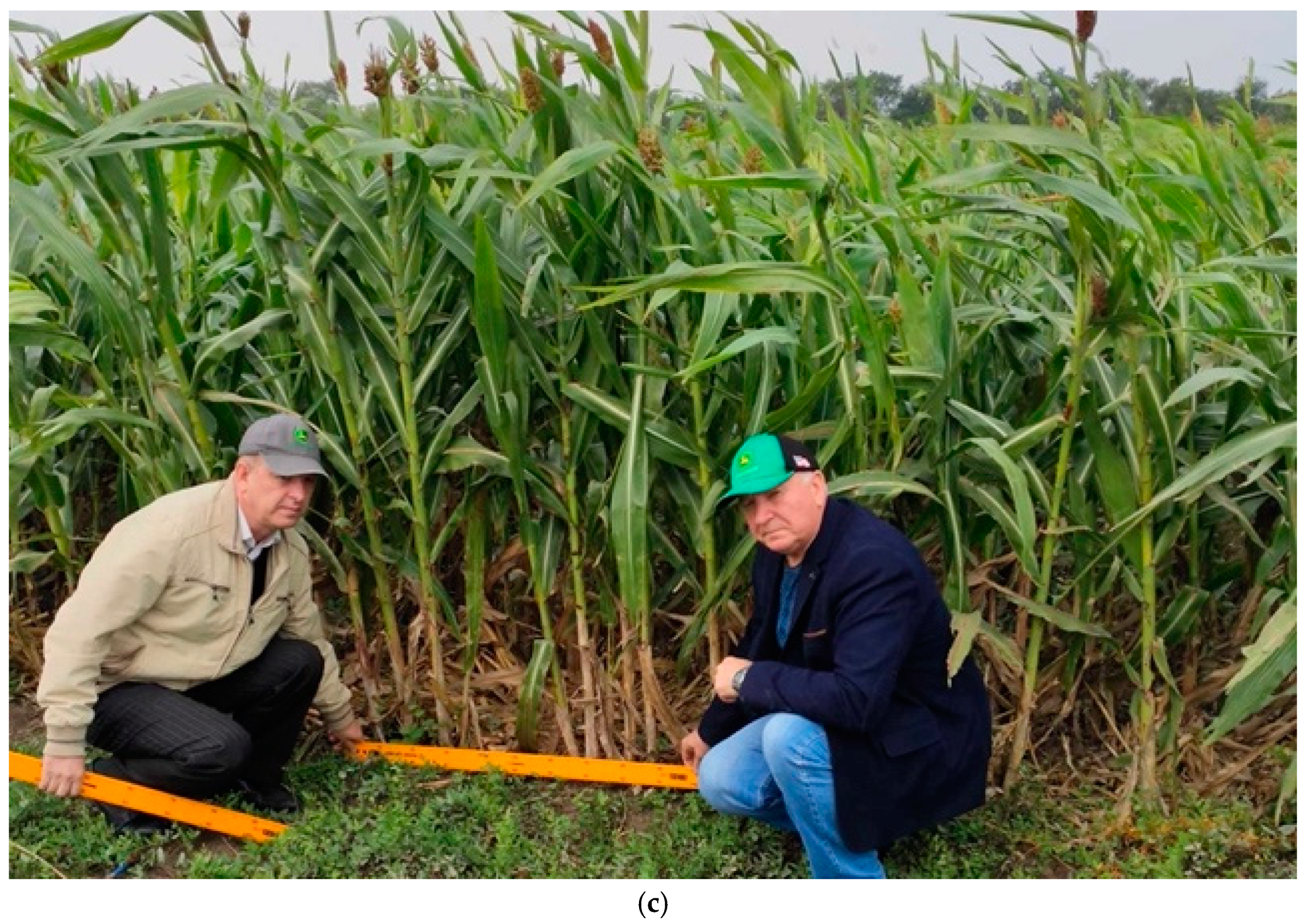 Agriculture 11 00695 g002b