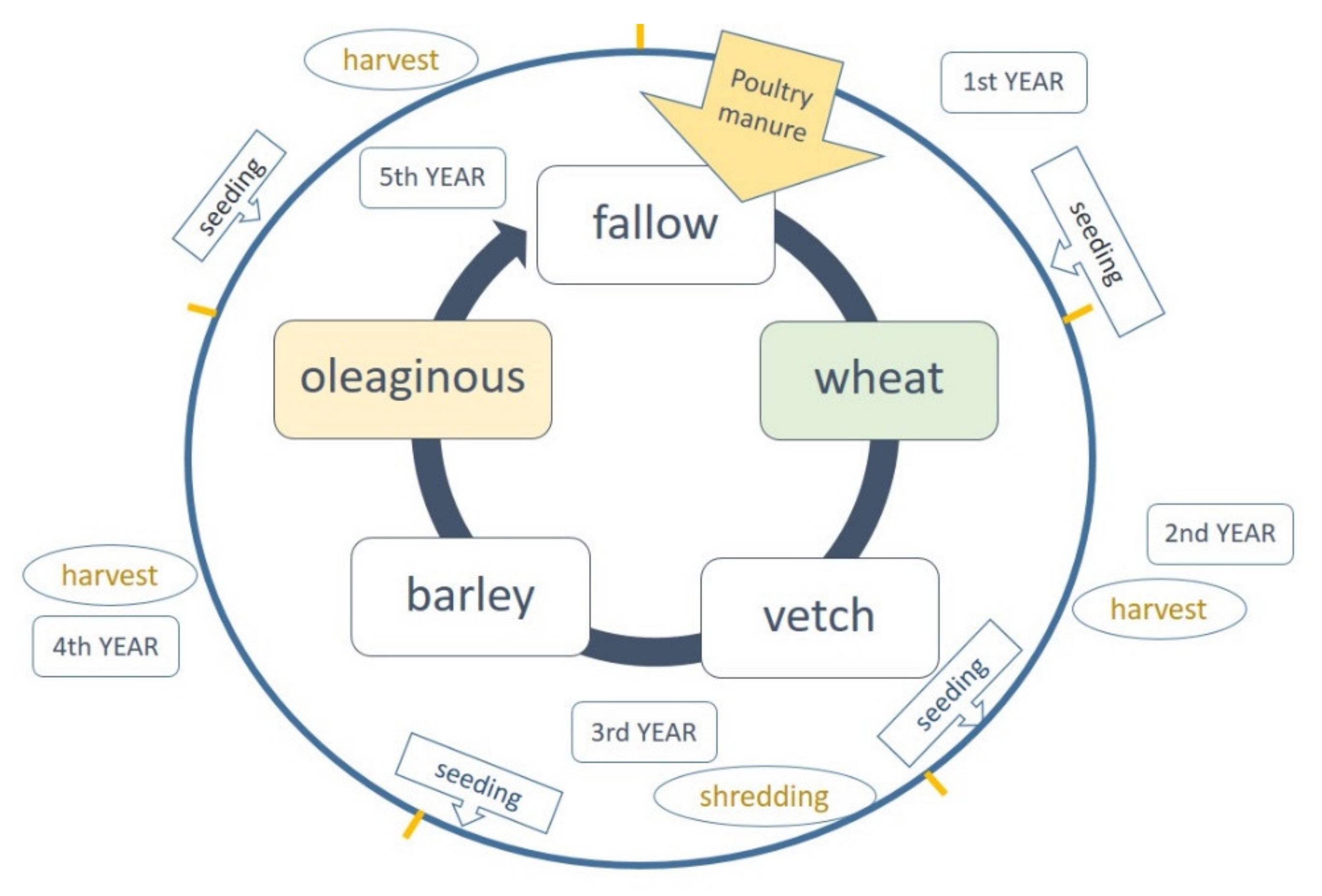 Agriculture 11 00700 g001
