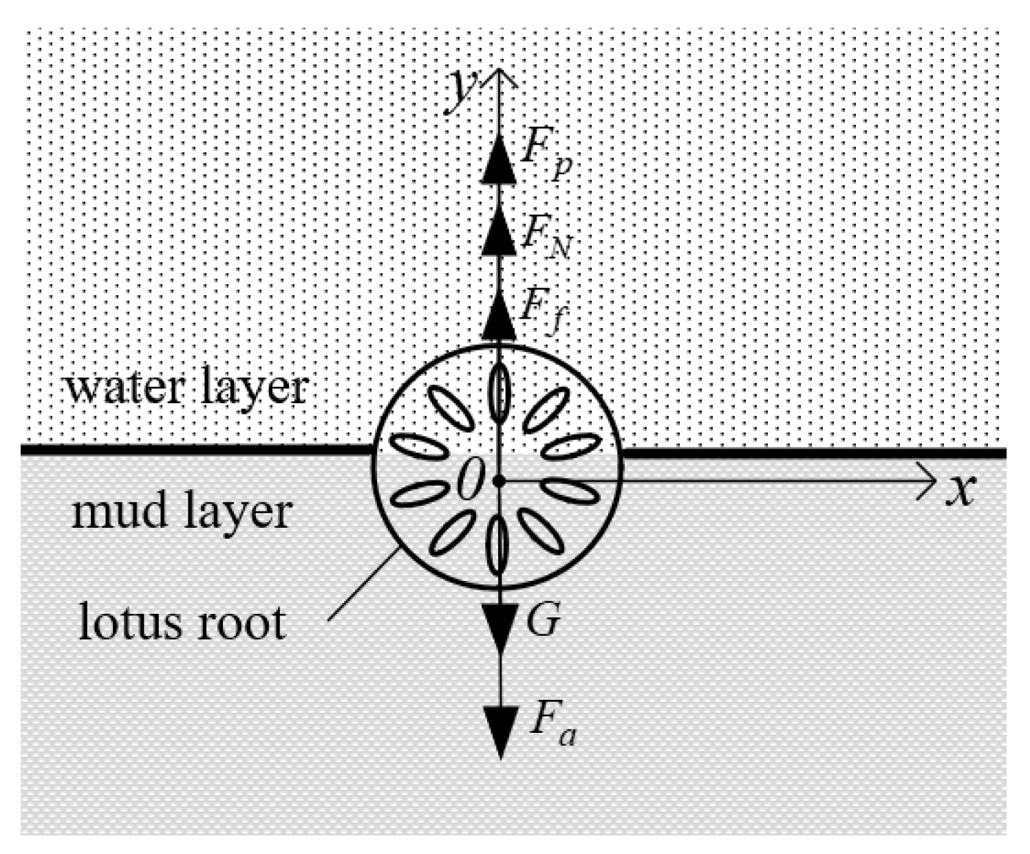 Agriculture 11 00706 g002