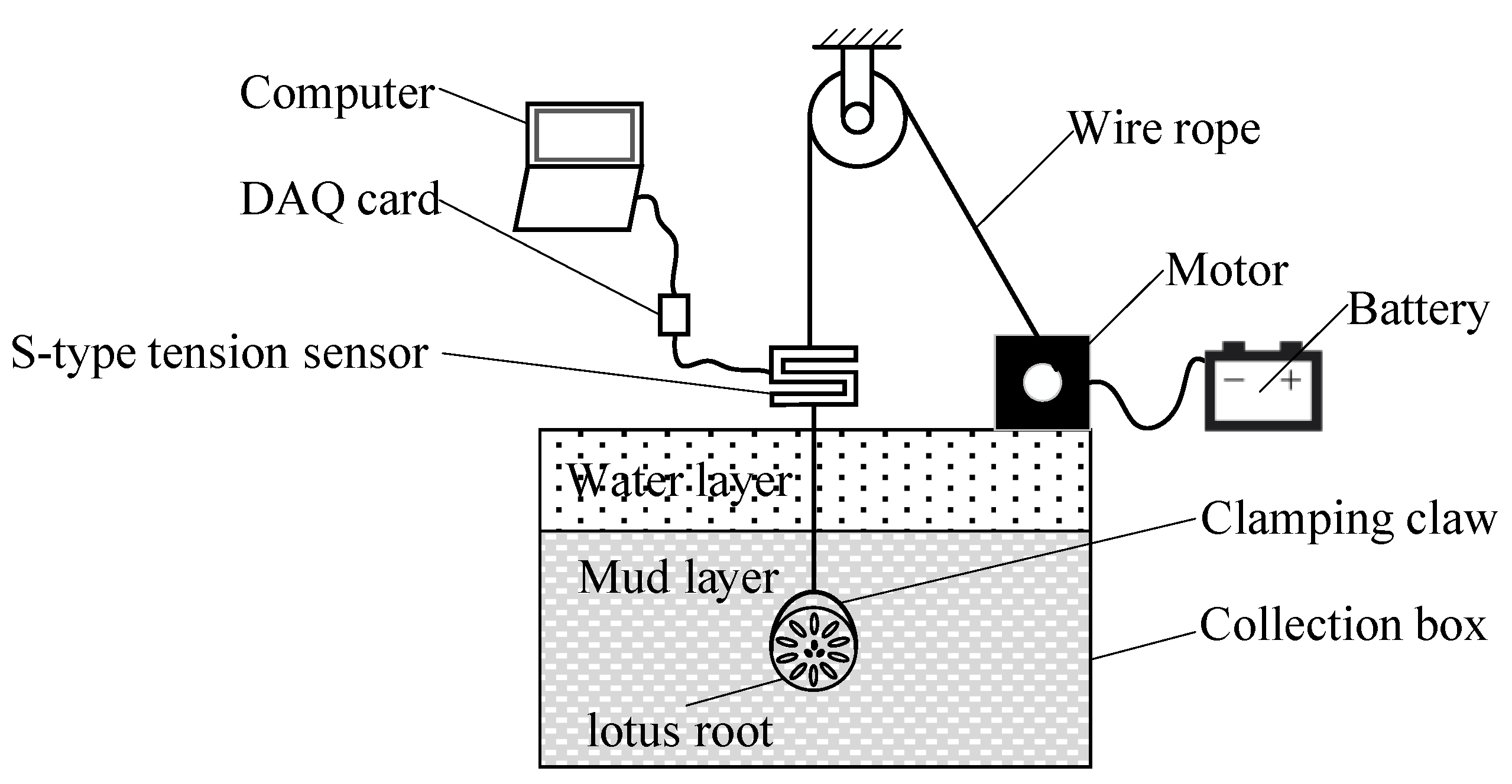 Agriculture 11 00706 g003