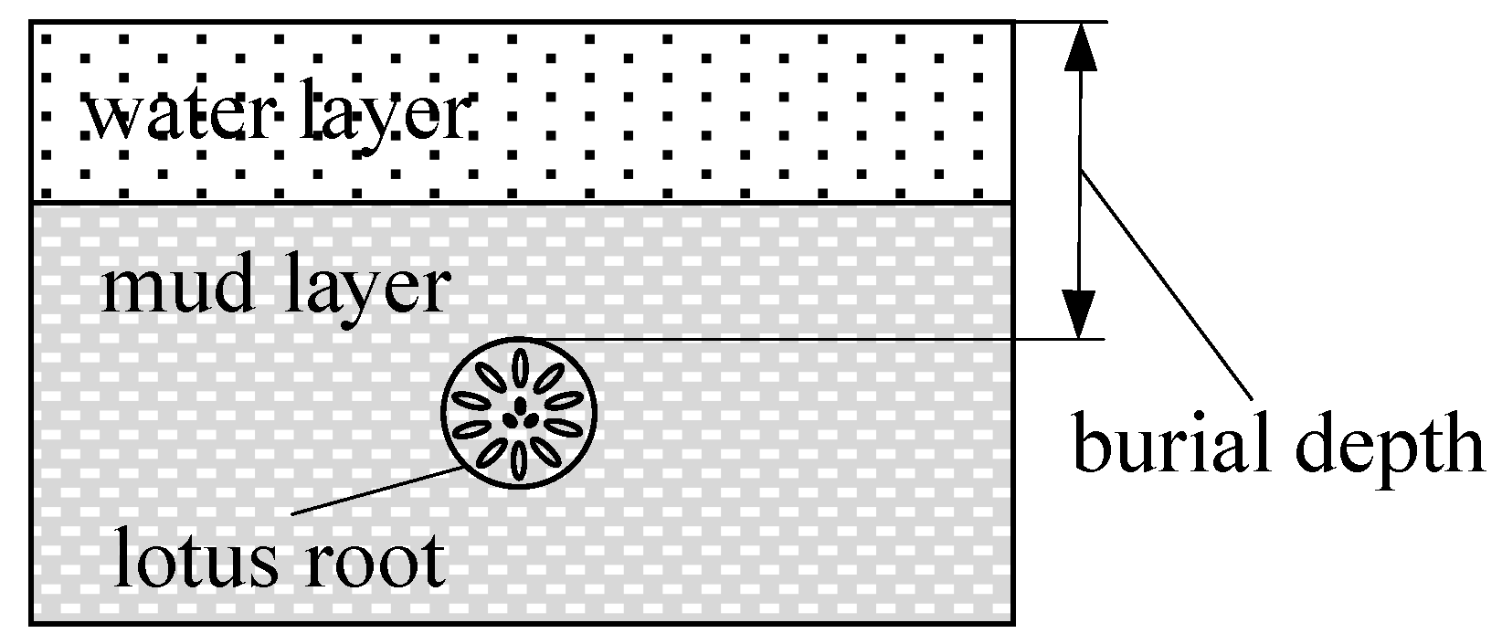 Agriculture 11 00706 g004